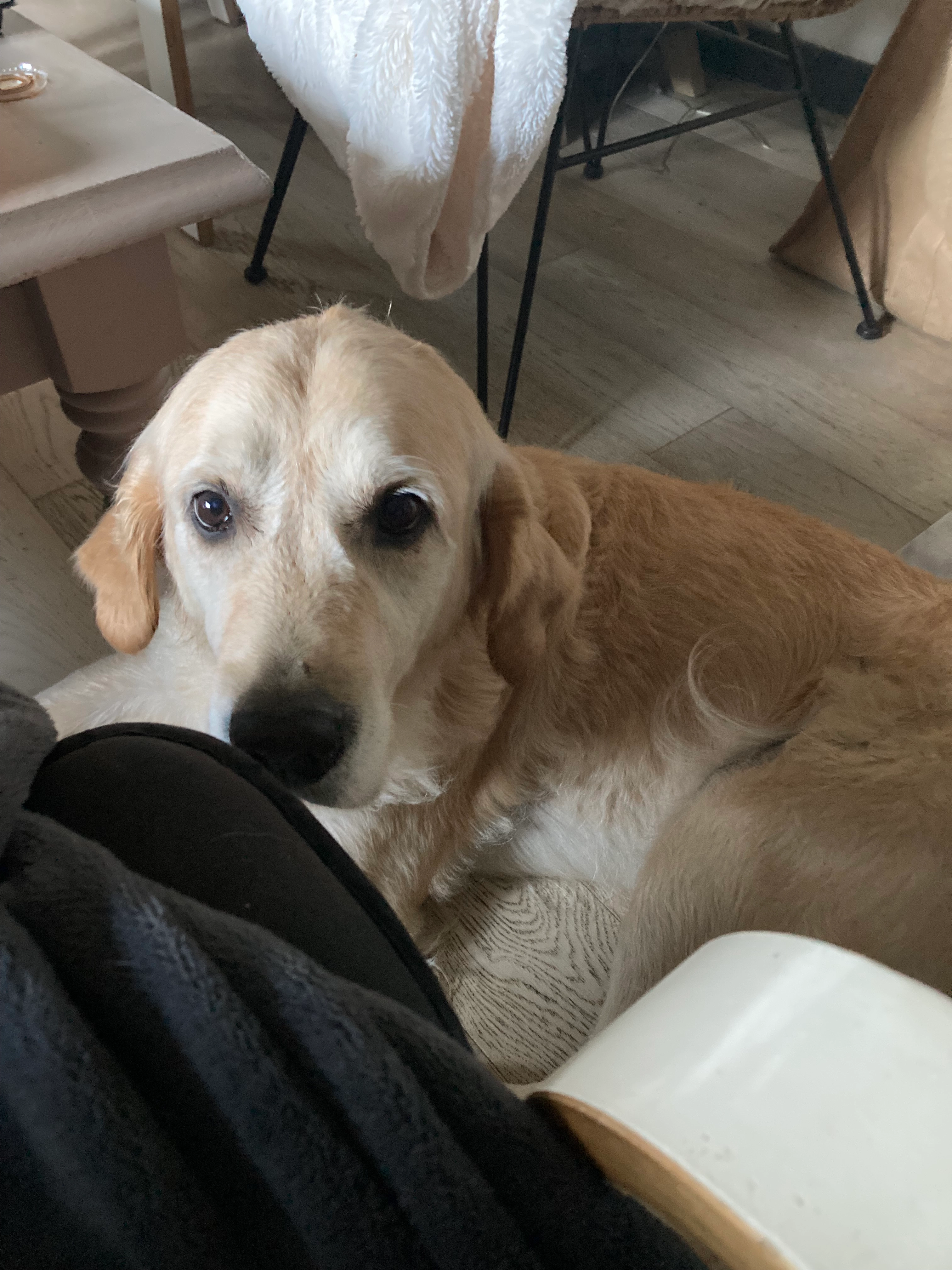 Lou - Rue Jean Jaurès, Beauvais