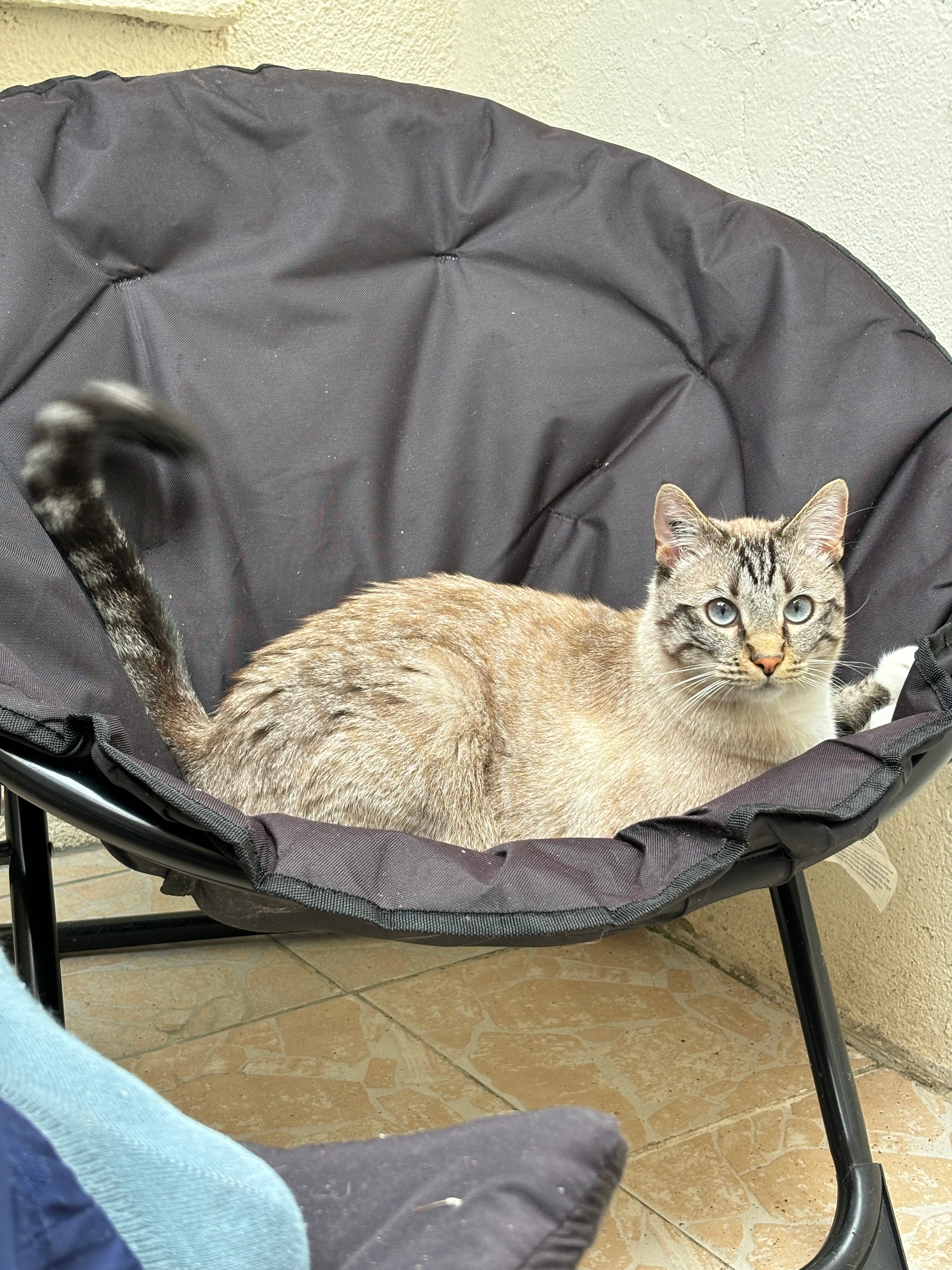 Ussop - Rue Henri Brispot, Beauvais