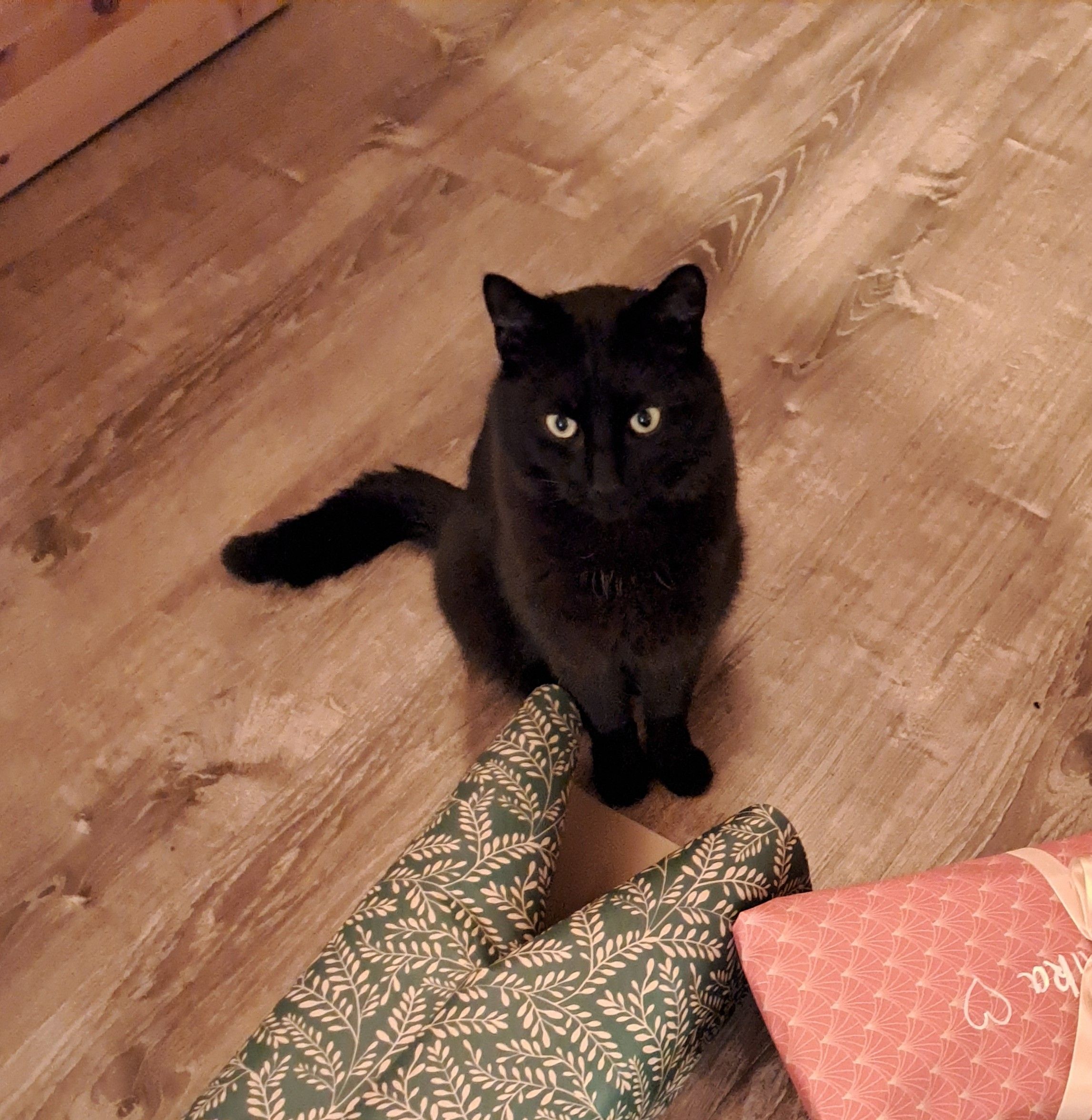 Sami - Porzer Straße, Berlin