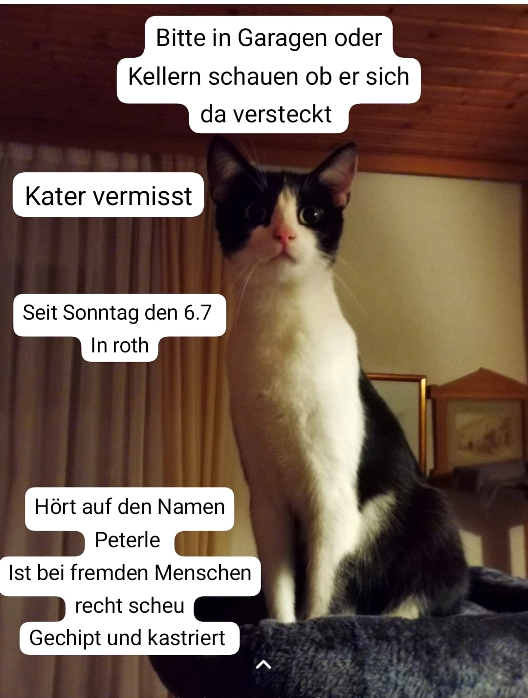 Peterle - Am Ansbach, Lichtenfels