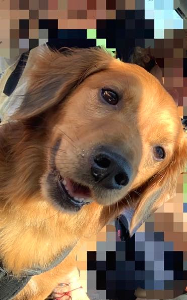 Lucky - Via Decorati Al Valor Civile, Venice