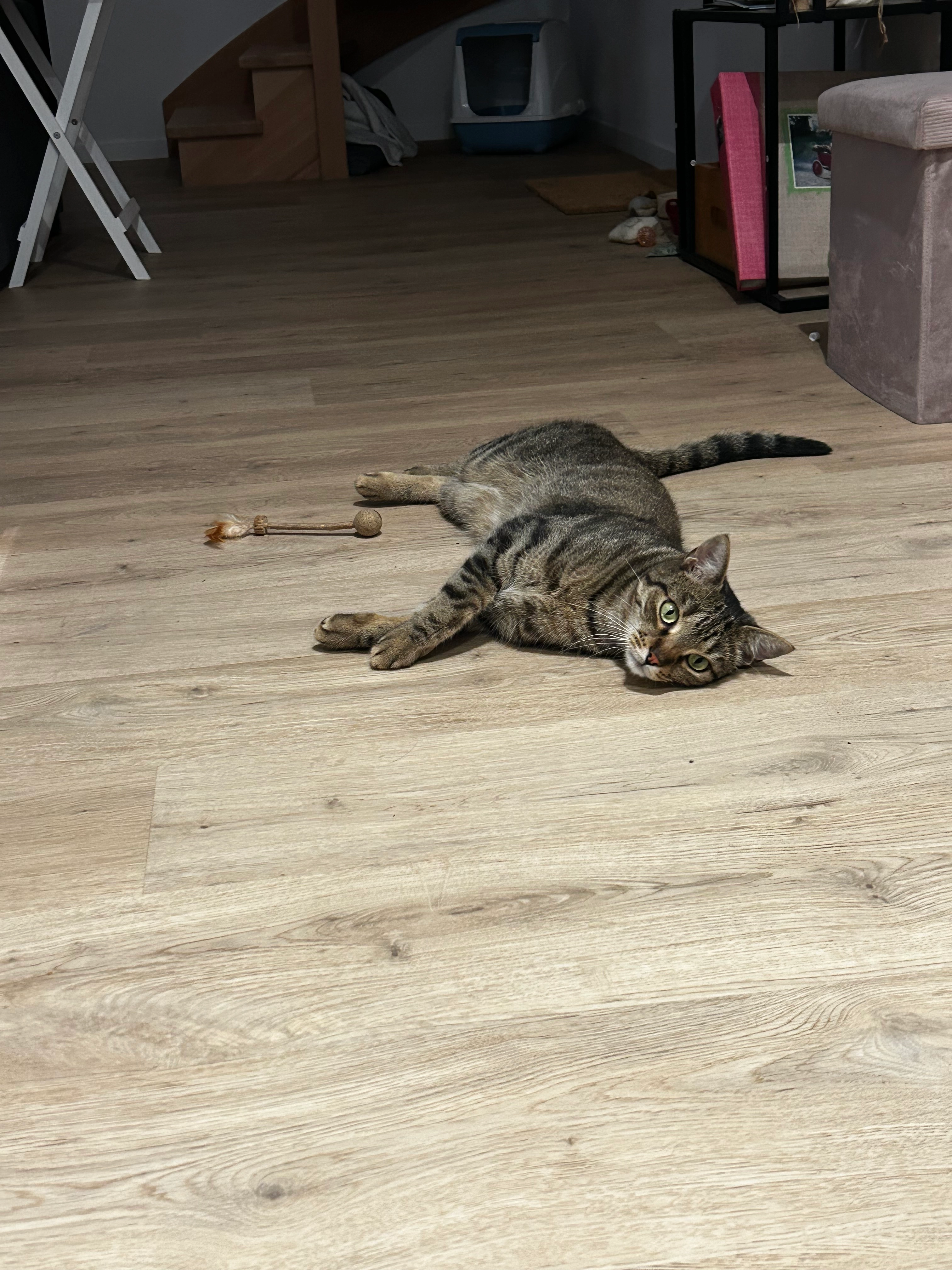 Kyo - Rue Diderot, Roanne