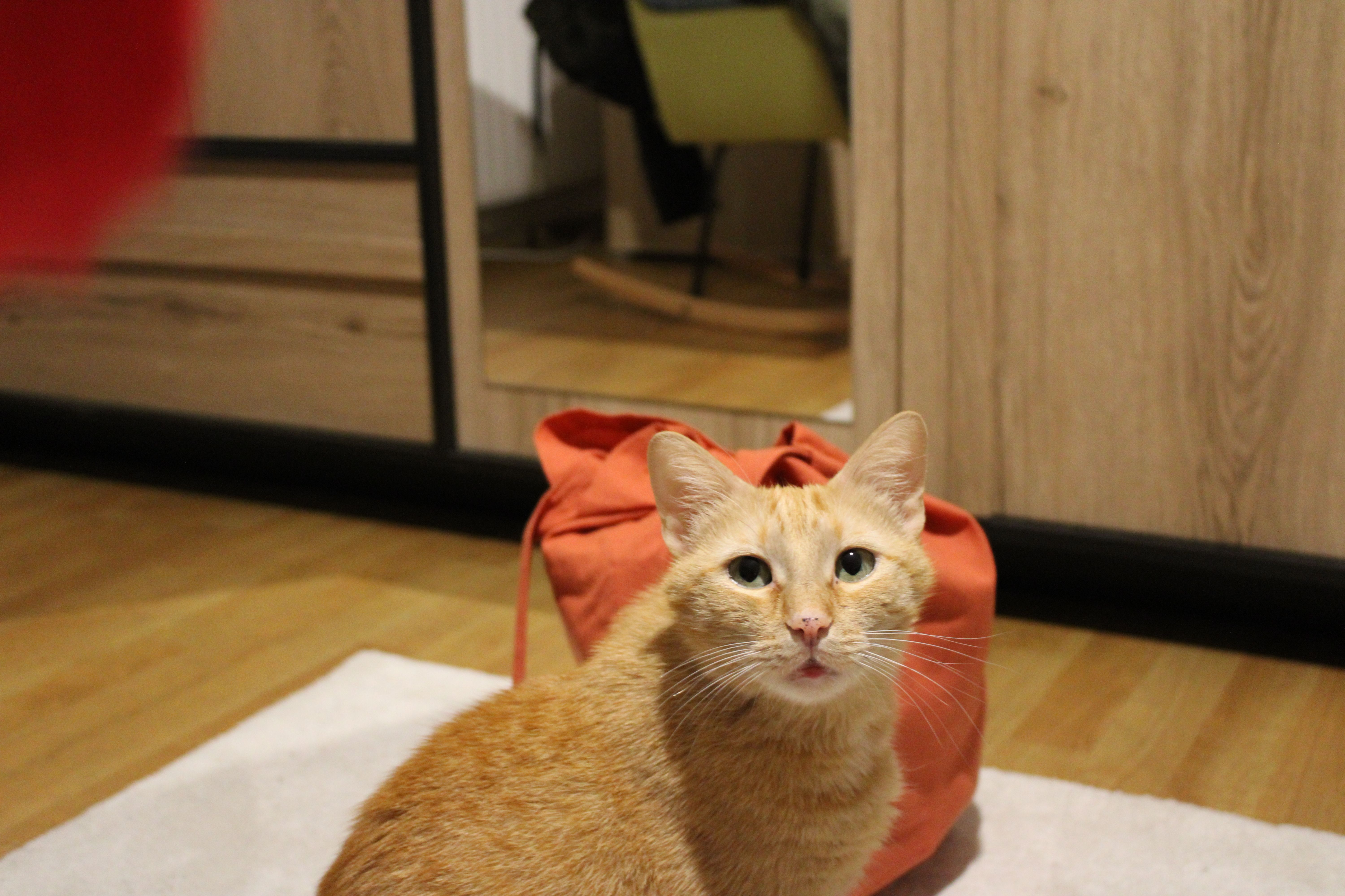 Ruby - Vatrogasna 56, Osijek