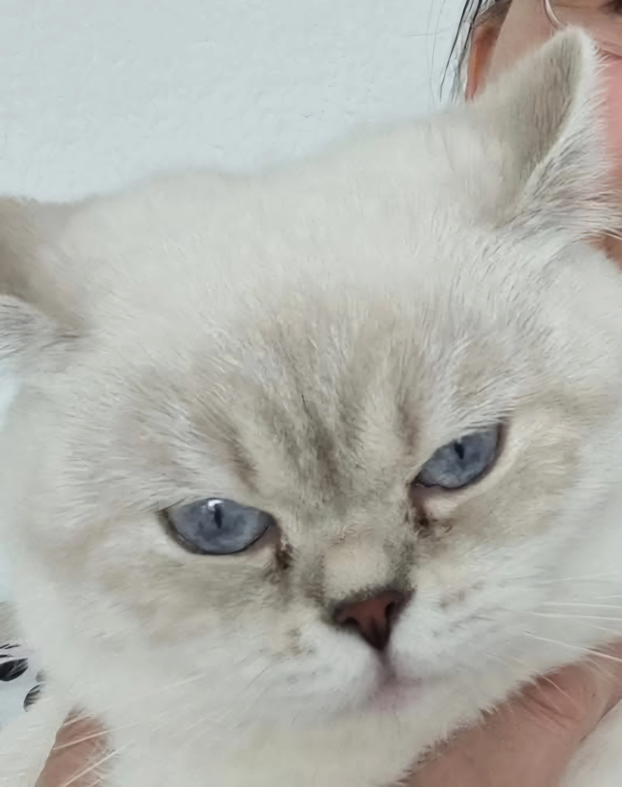 Coco - Haldenring 10, Emmen