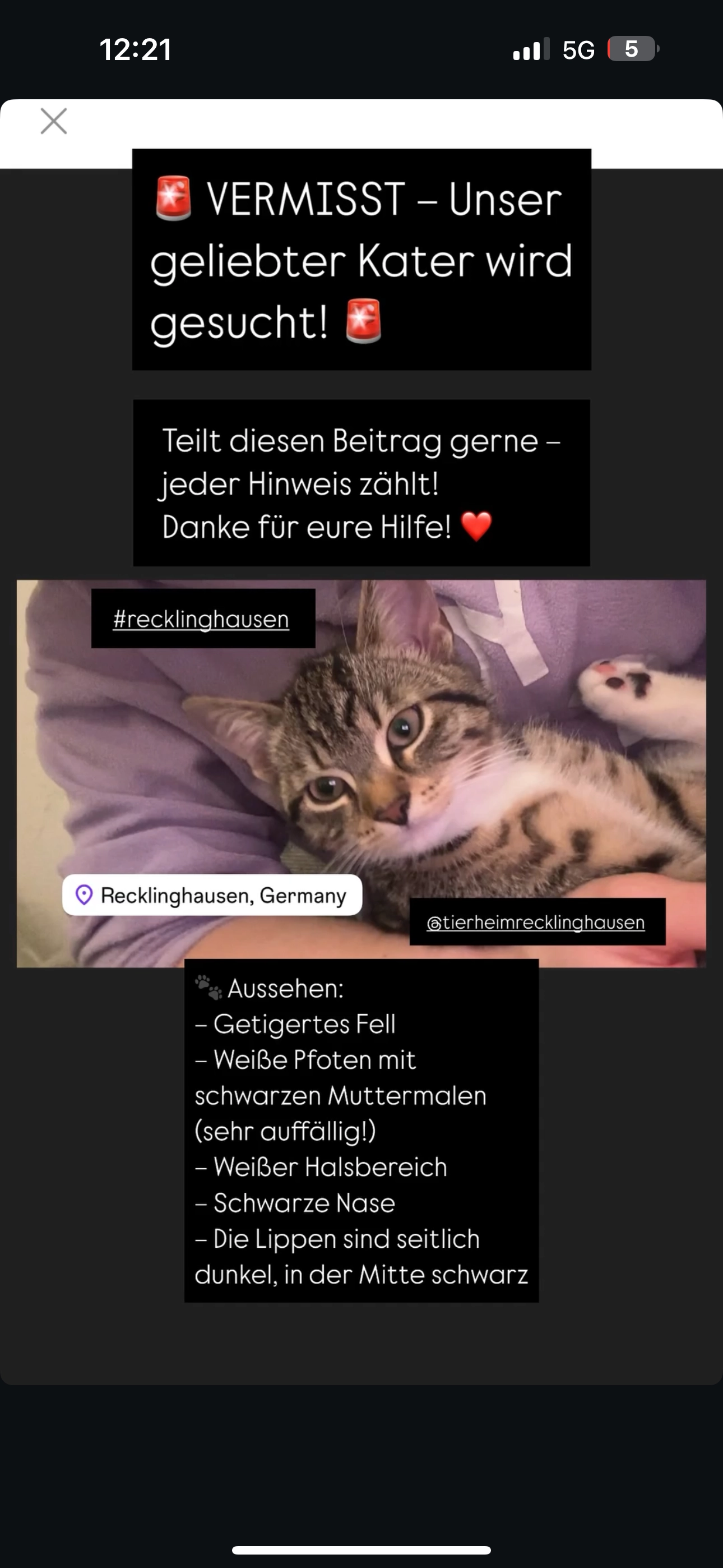 Rambo  - Hochstraße, Recklinghausen