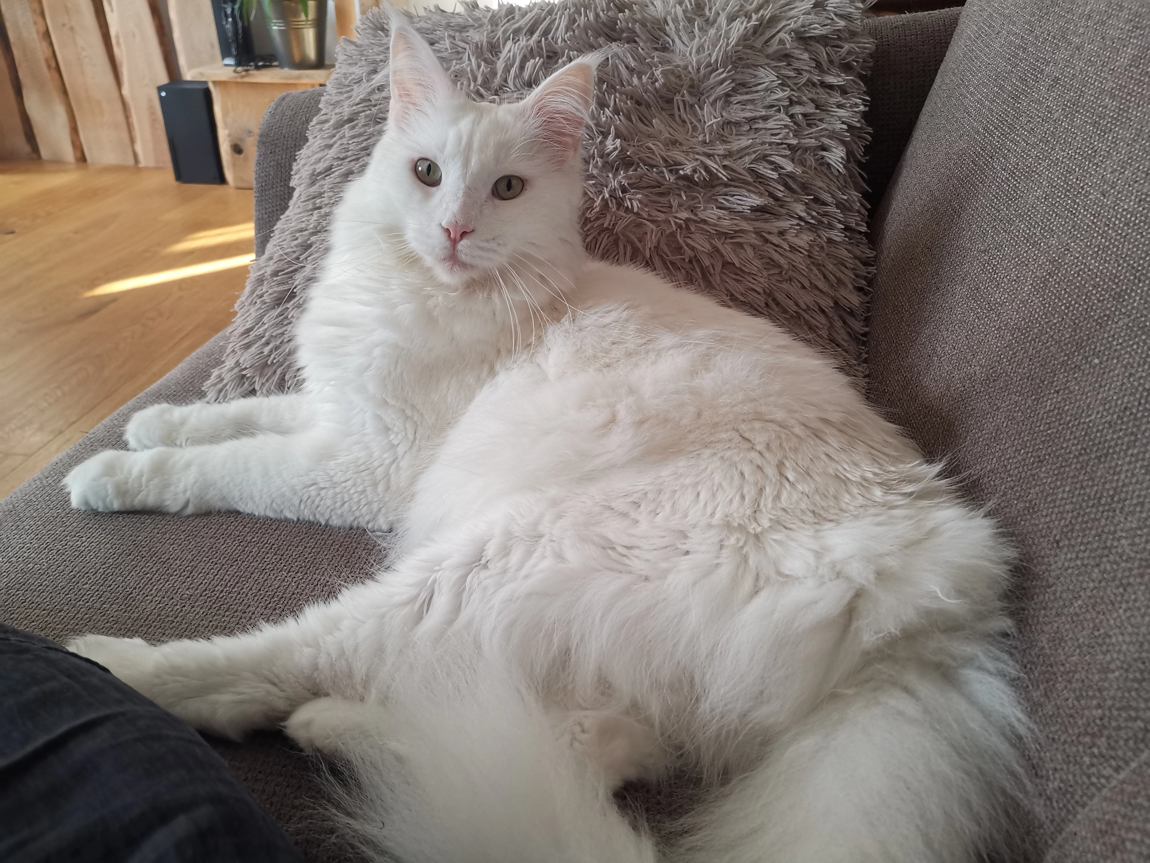 Alba - Karl-Hugel-Straße, Bayreuth