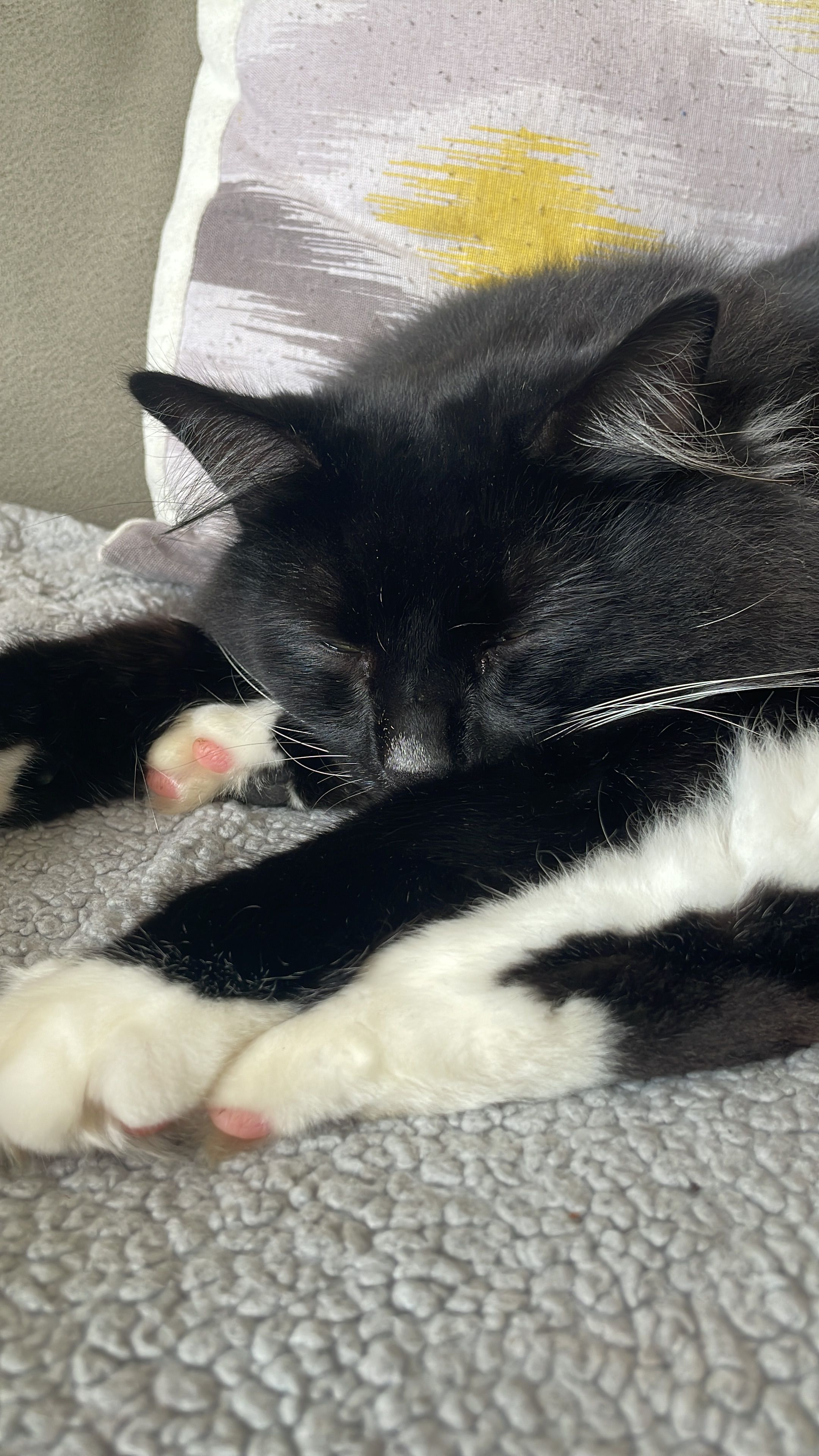 Flame - Lon Llwyni, Deeside