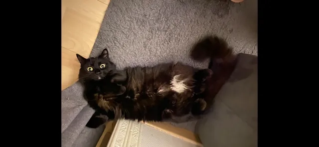 MOKATE - Parc des Poteries, Strasbourg