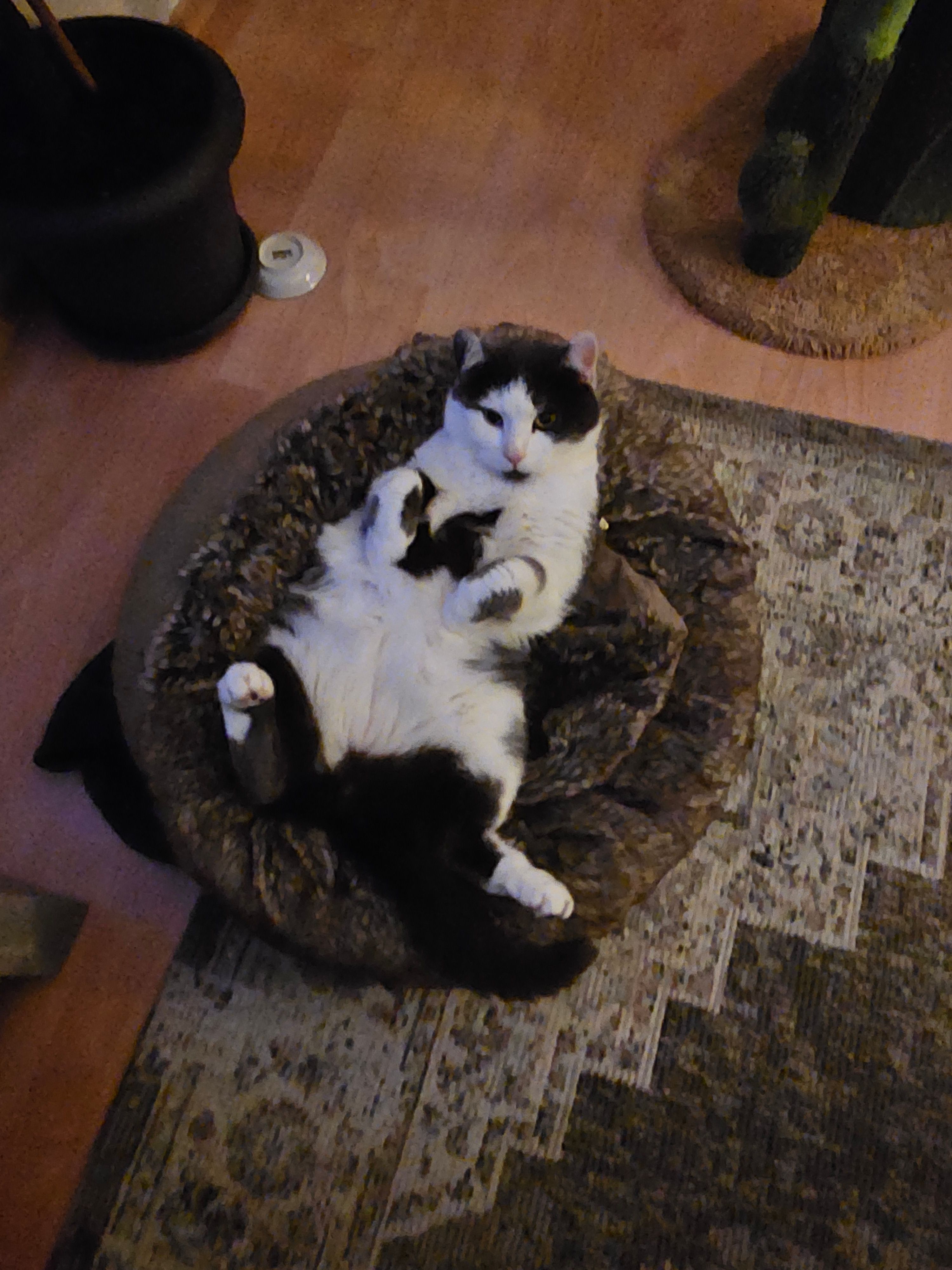 Kira - Schwimmbadstraße, Benediktbeuern