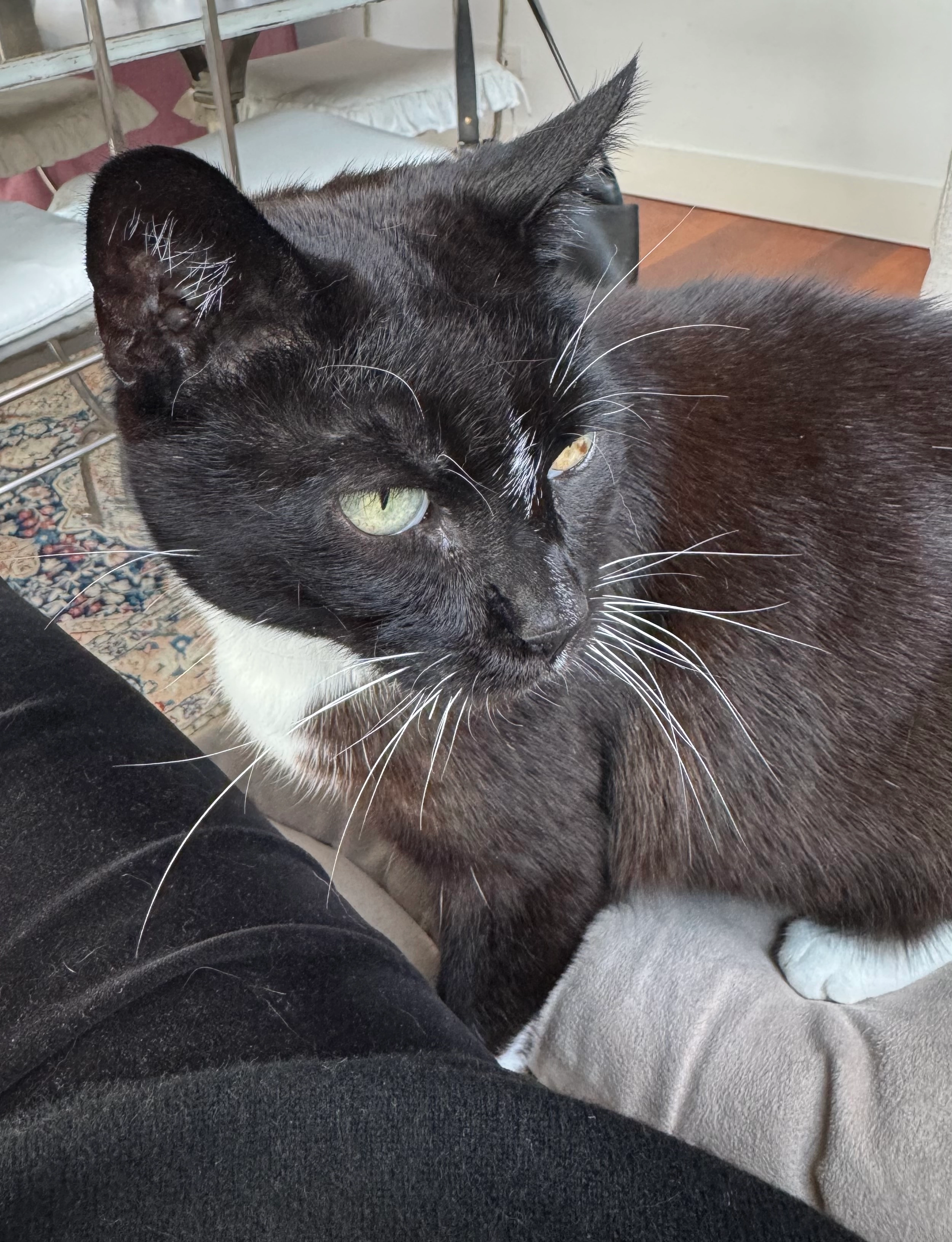 Penny  - 2750-005, Cascais