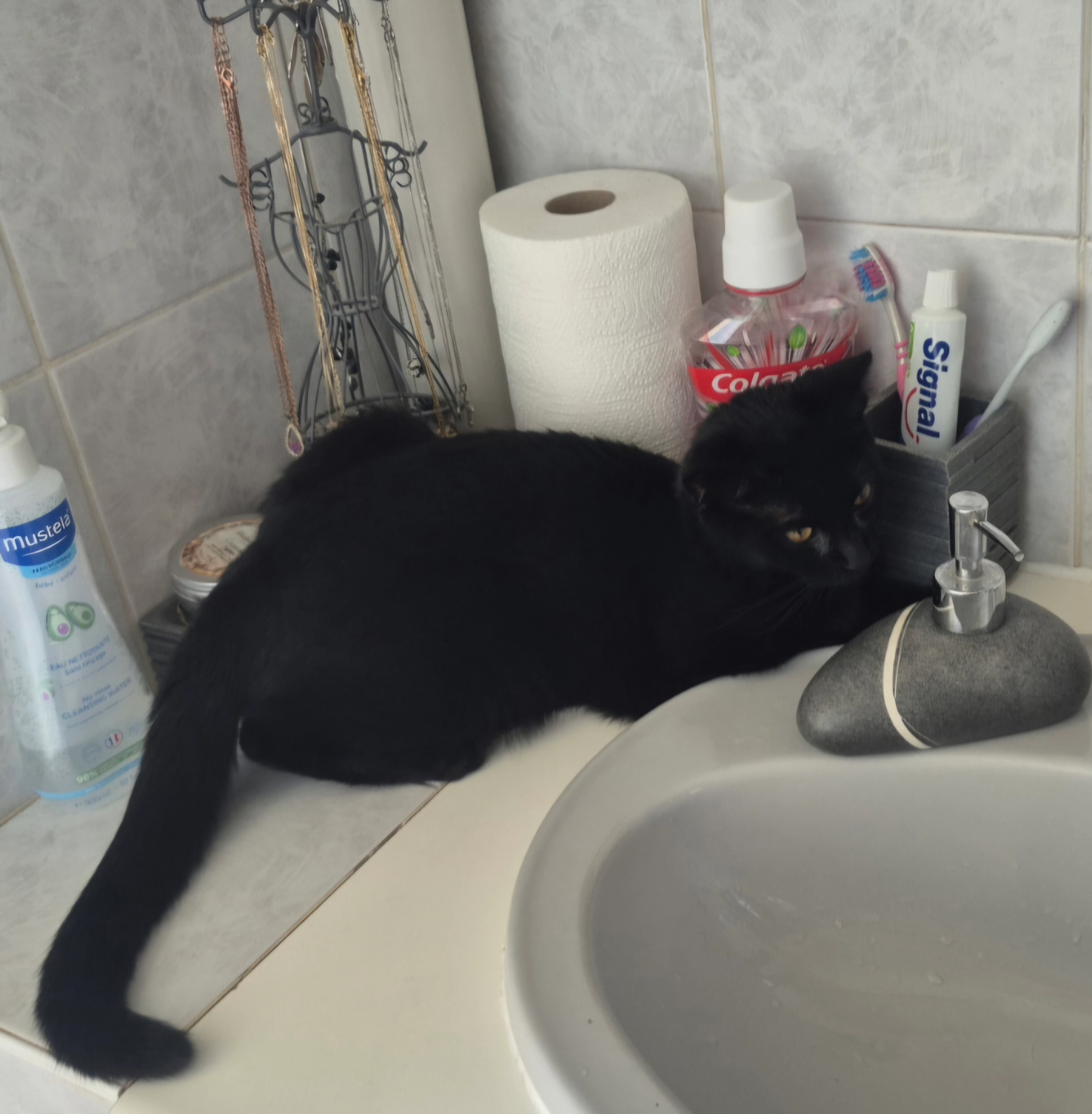 Newt - Rue Des Roches, Cholet