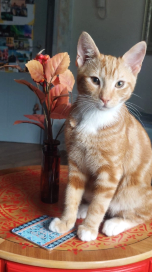 Reece - Saint Hughs Rise, Didcot