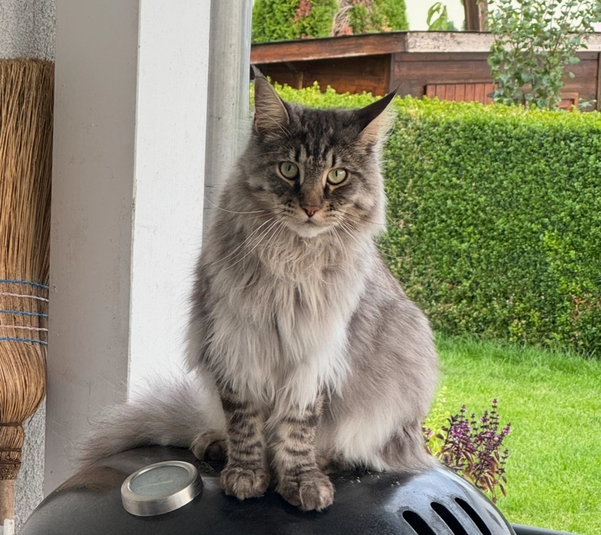 Jerry - Erlenweg 2, Ballwil