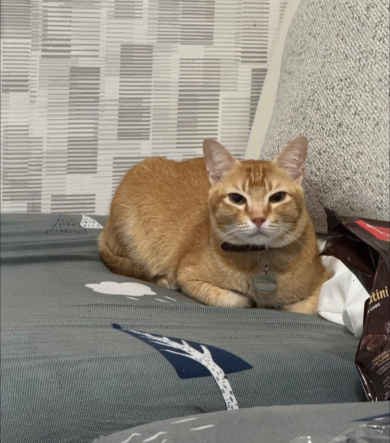 Soju - ชม.2079, Doi Saket