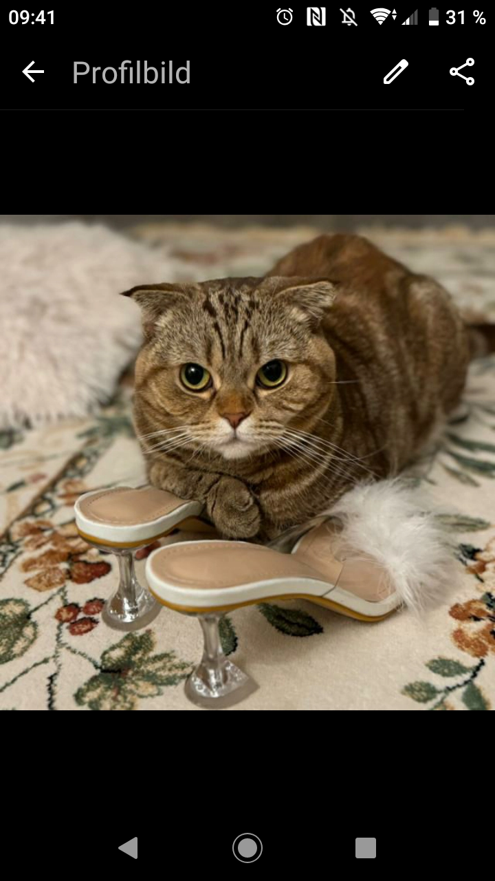 Akira  - Alsenstraße, Aachen