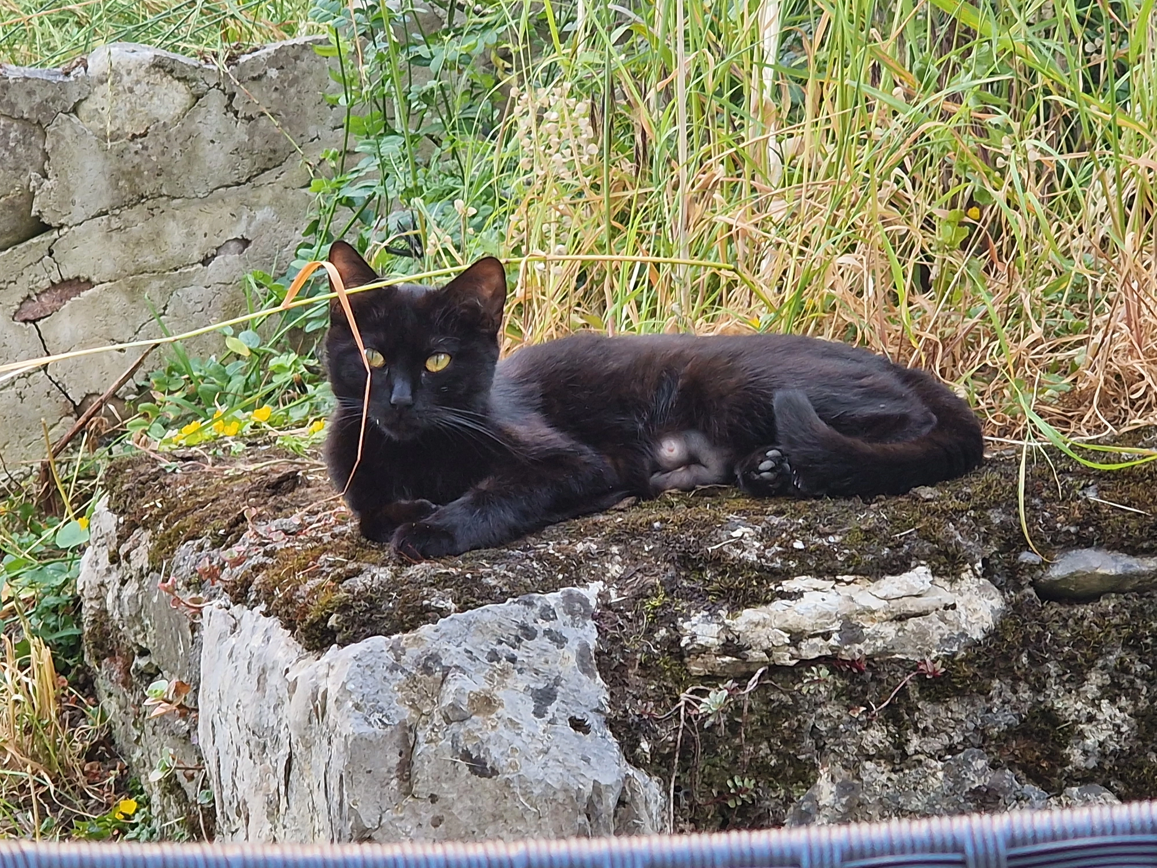 Zazu - Löhweg 8, Mülligen