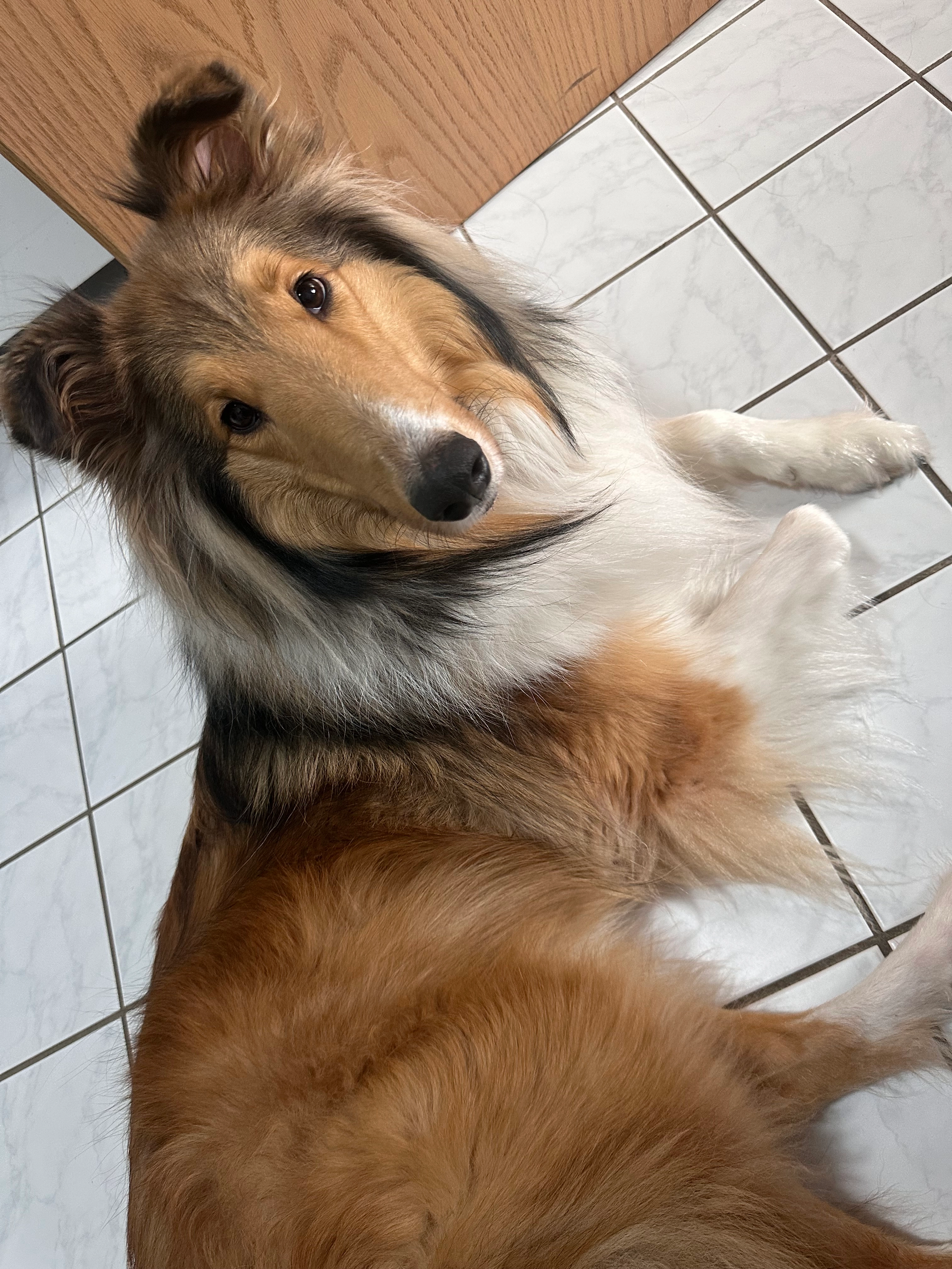 Jasper - In den Heckengärten, Mandelbachtal