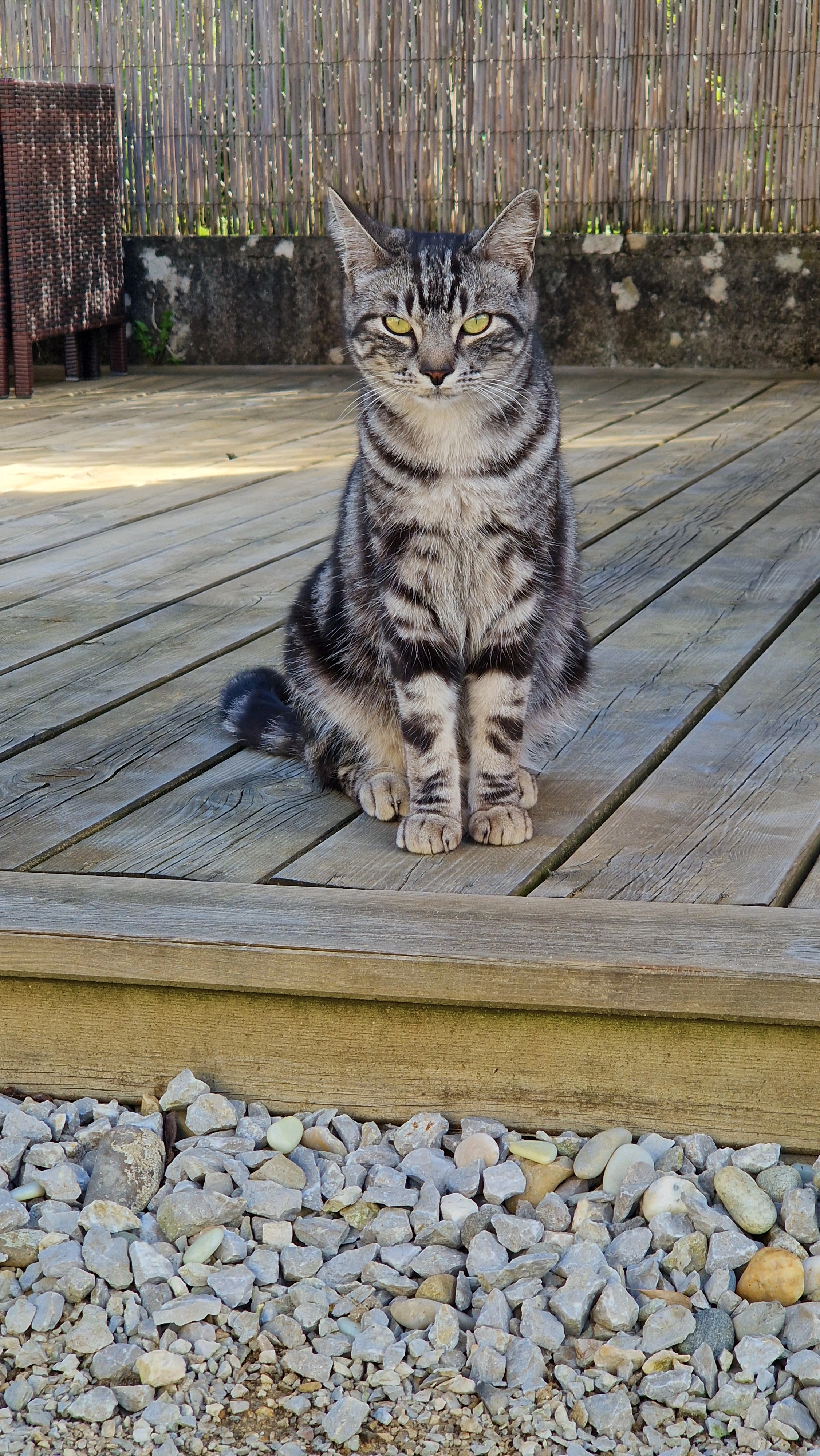 Moumi - 401 Rue de Bellecombe, Reignier-Ésery