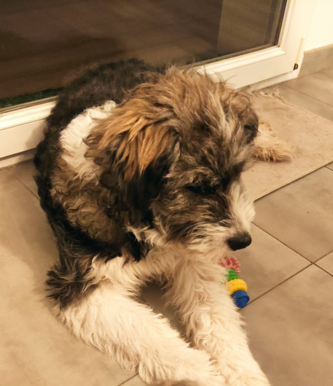 Spookie - Route de Merxheim, Merxheim