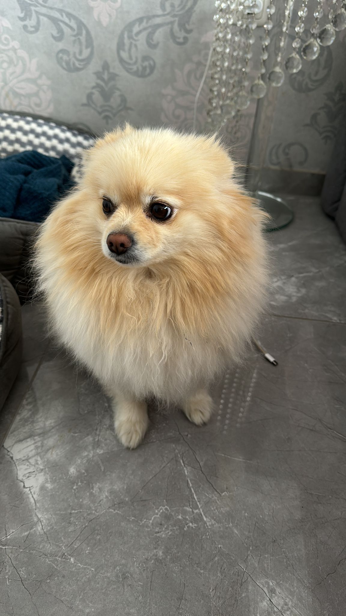 Mila - Schötmarsche Straße, Lage