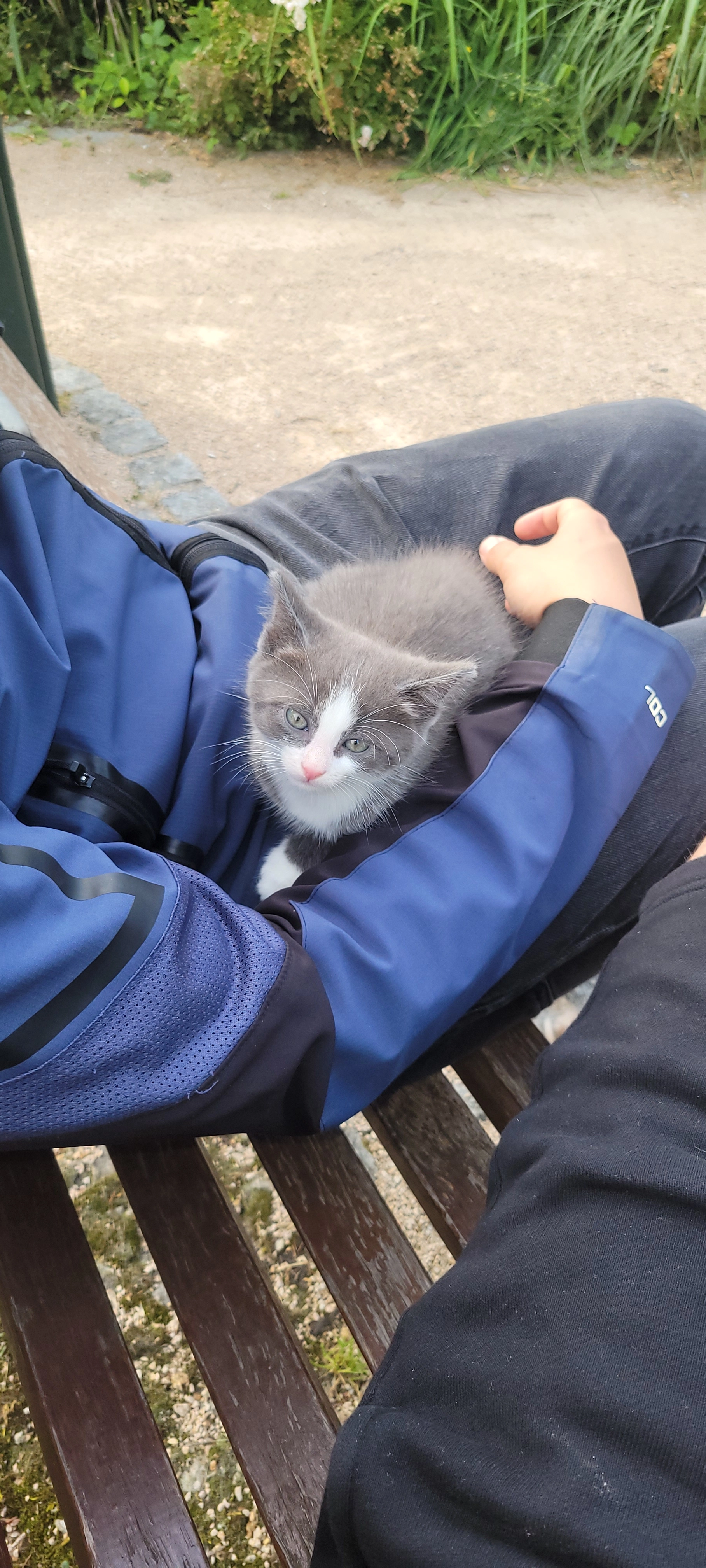 JC - 38 Avenue de Chambéry, Annecy