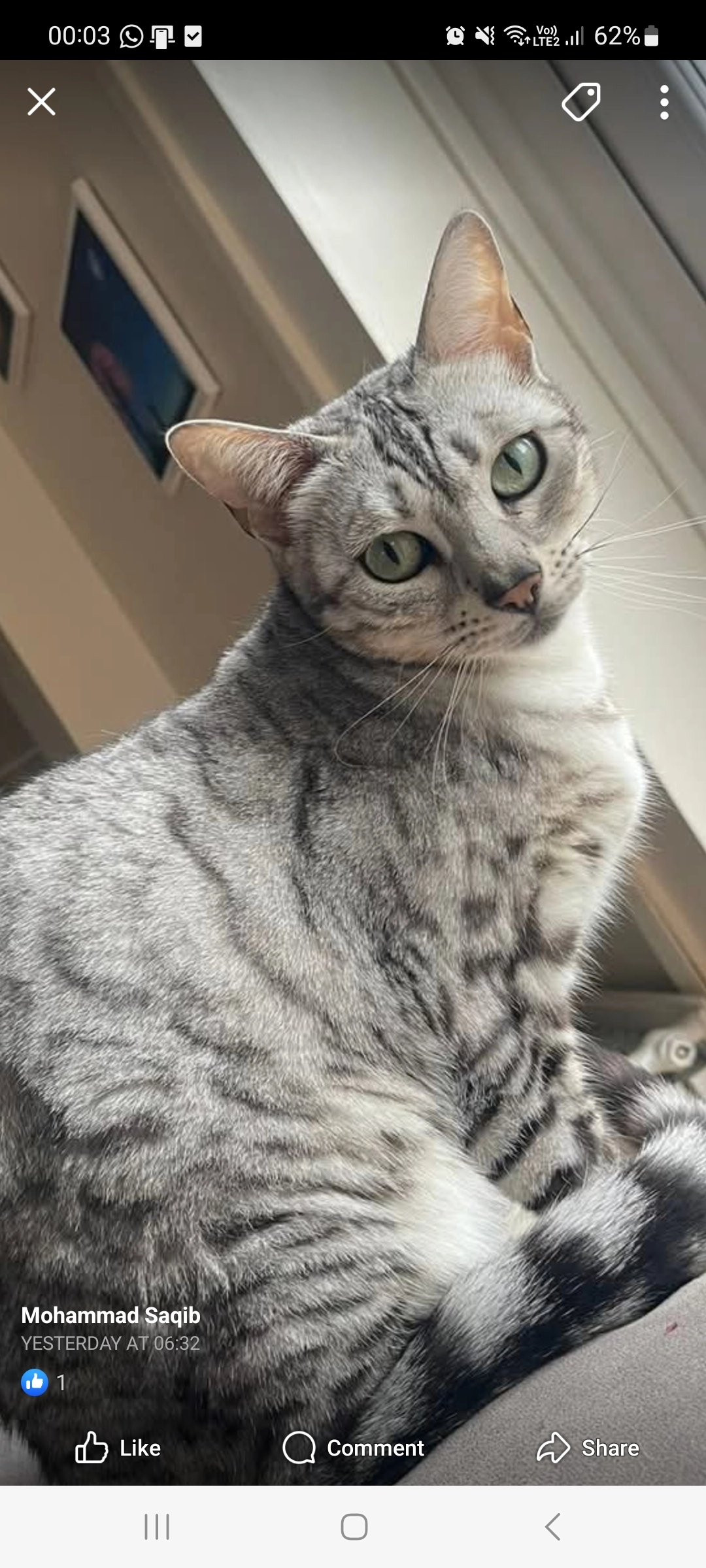 Luna - 303 Newport Road, Cardiff