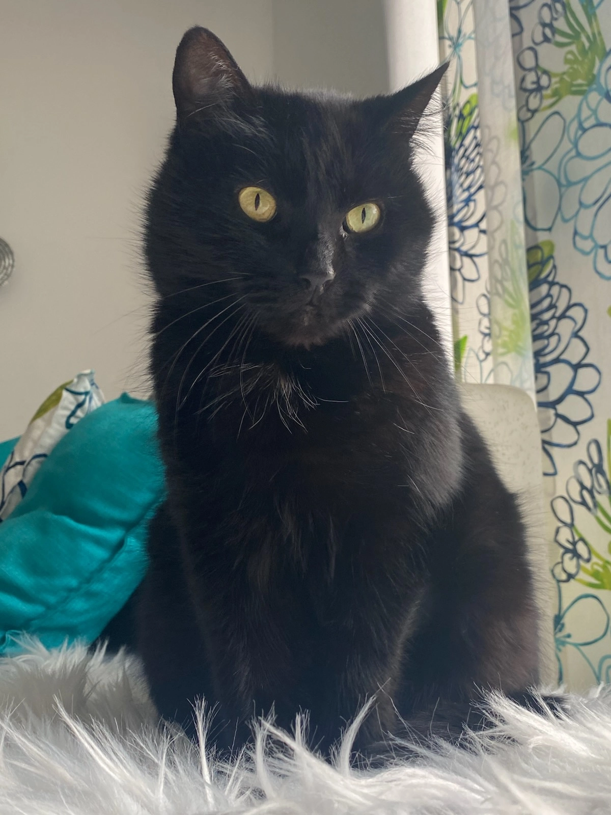 Blue - Rue De La Libération, Dernancourt