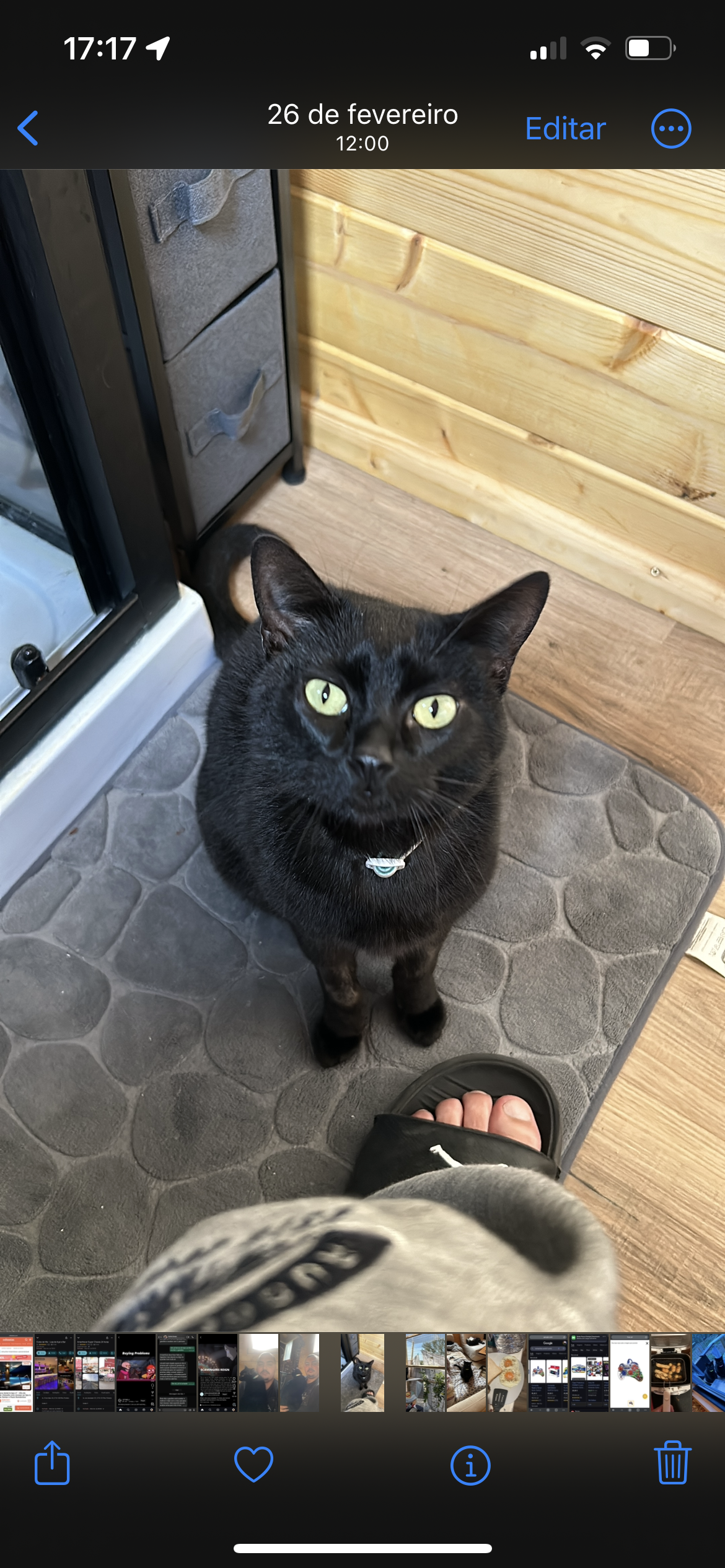 Bruce - Lg Alegria, Pero Pinheiro