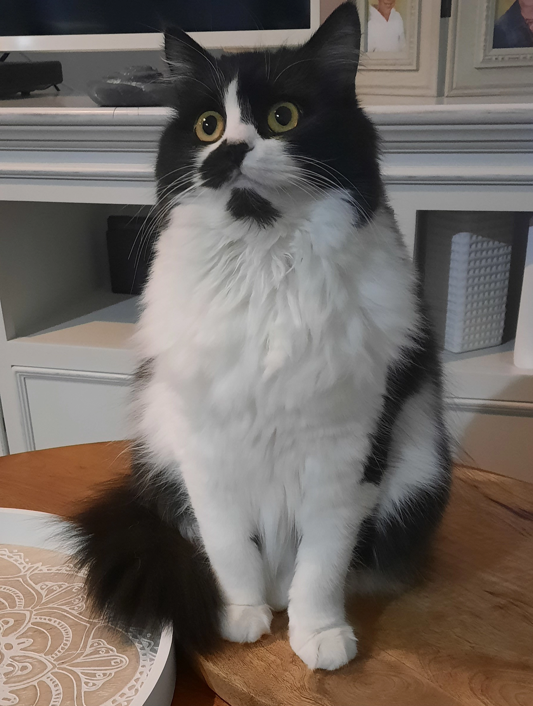 Tao - Rue des Maisonnettes, Le Breuil-en-Bessin