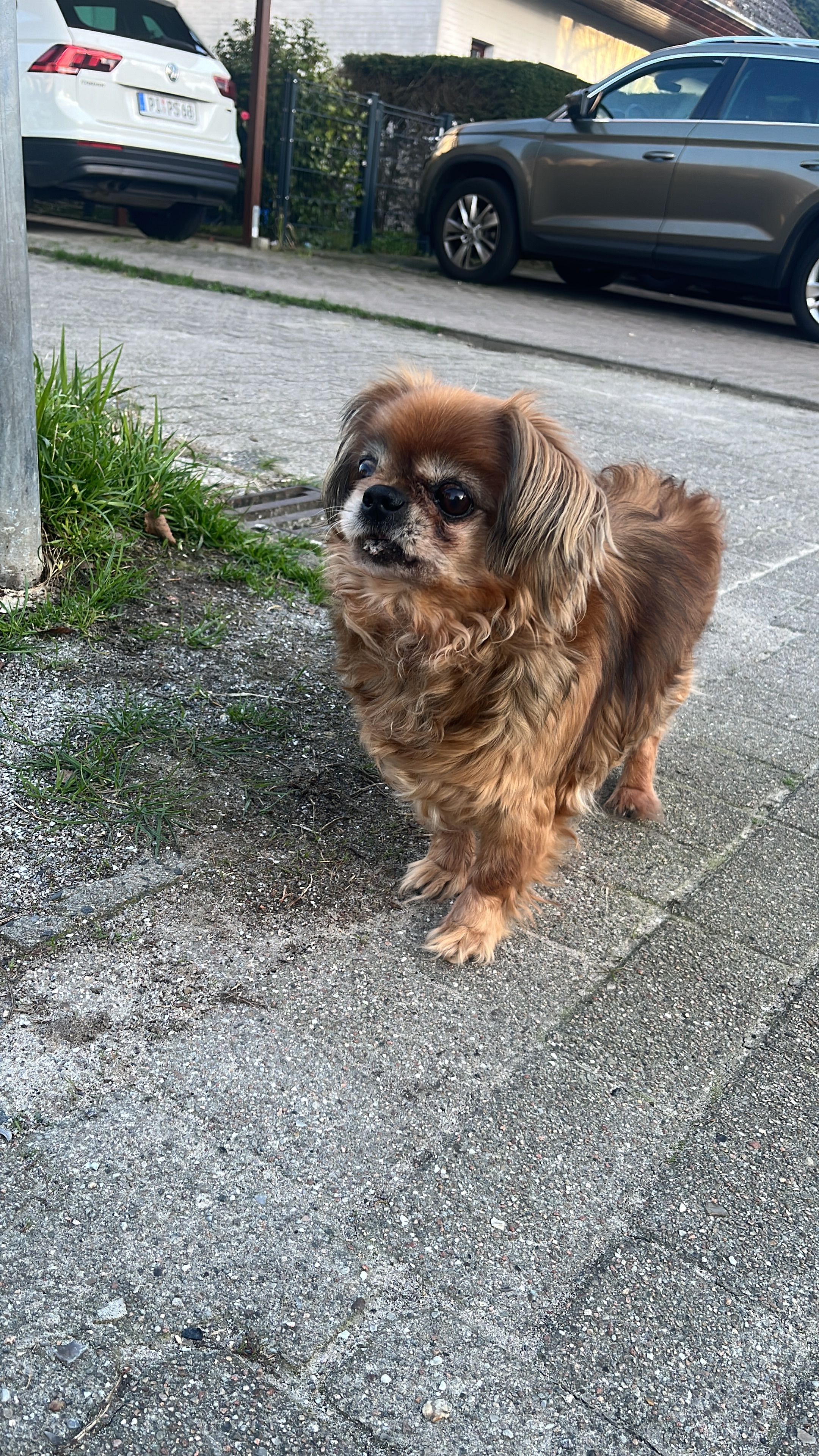 Nina - Eimsbütteler Marktplatz, Hamburg