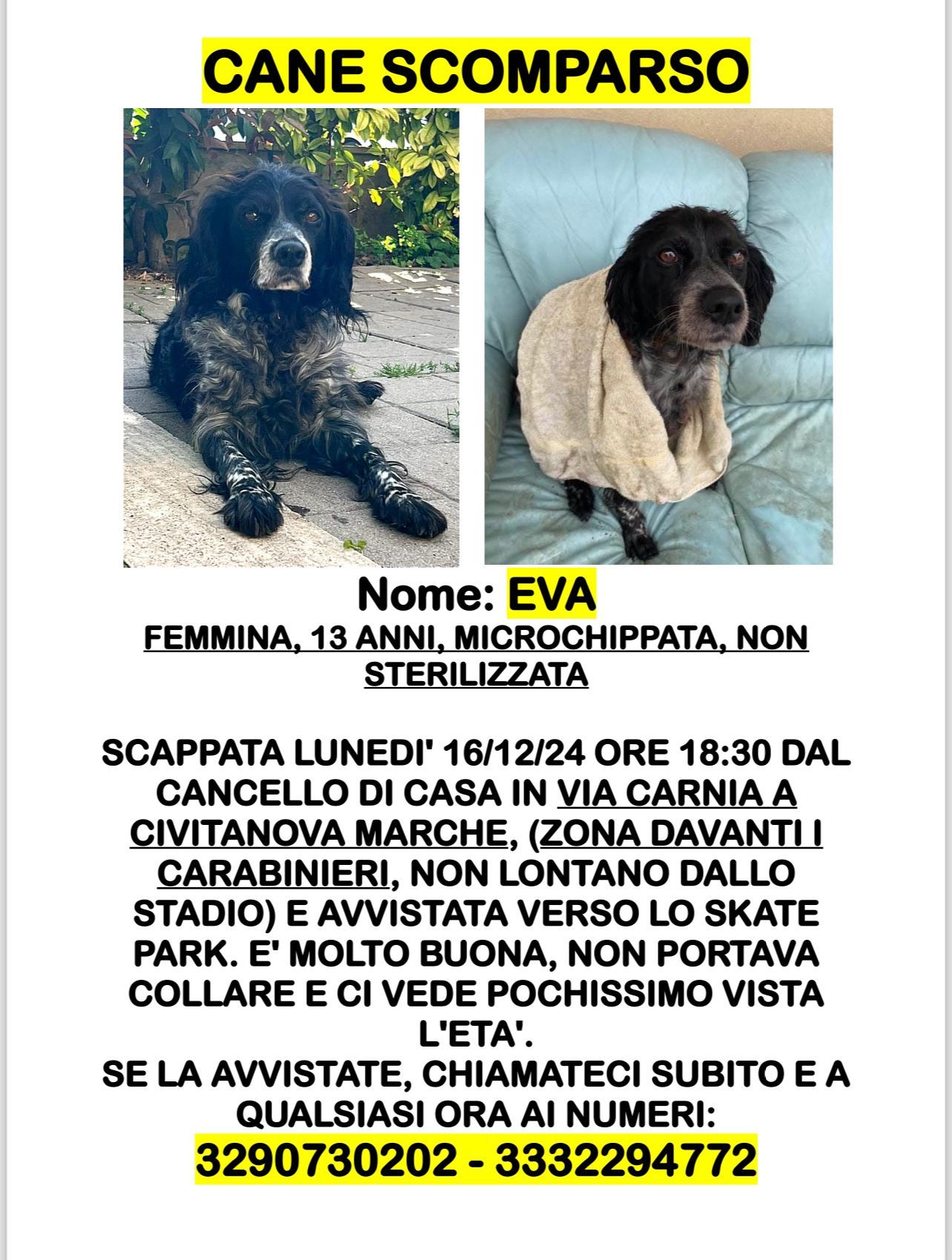 Eva - Via Carnia, Civitanova Marche