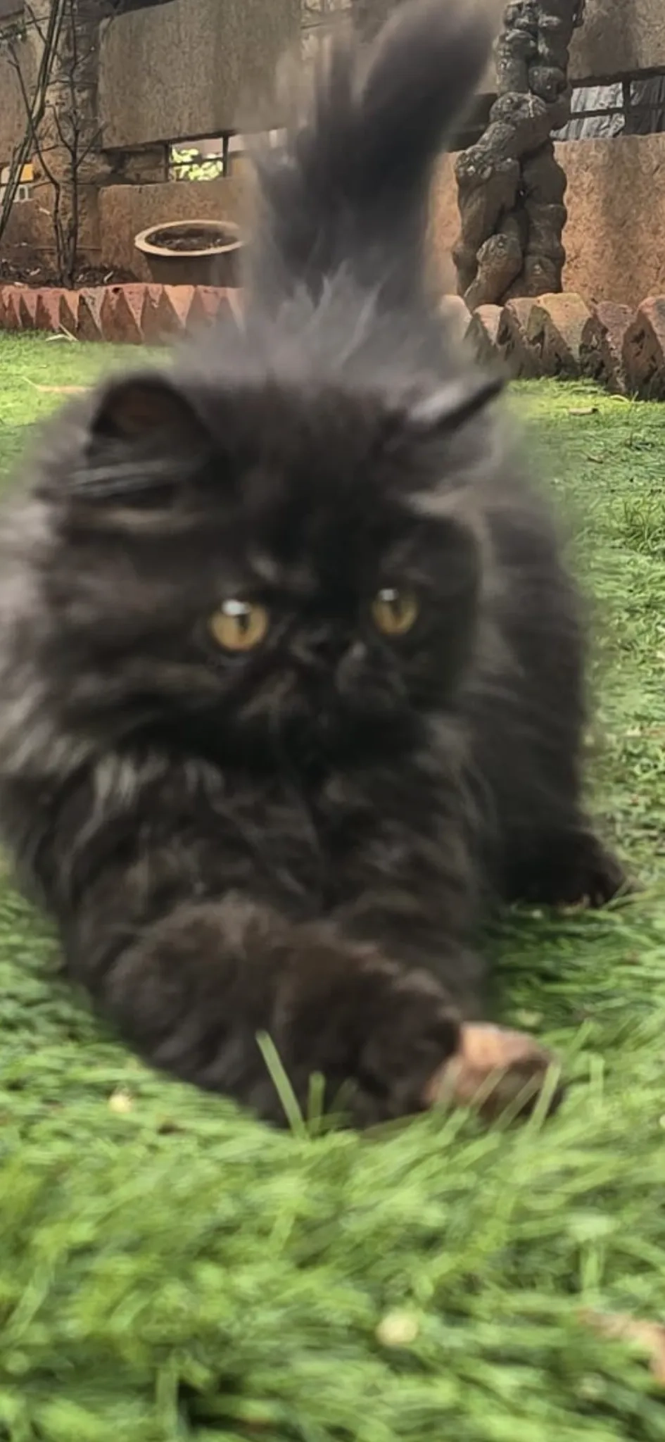 Shadow - 3rd Cross Road, RT Nagar