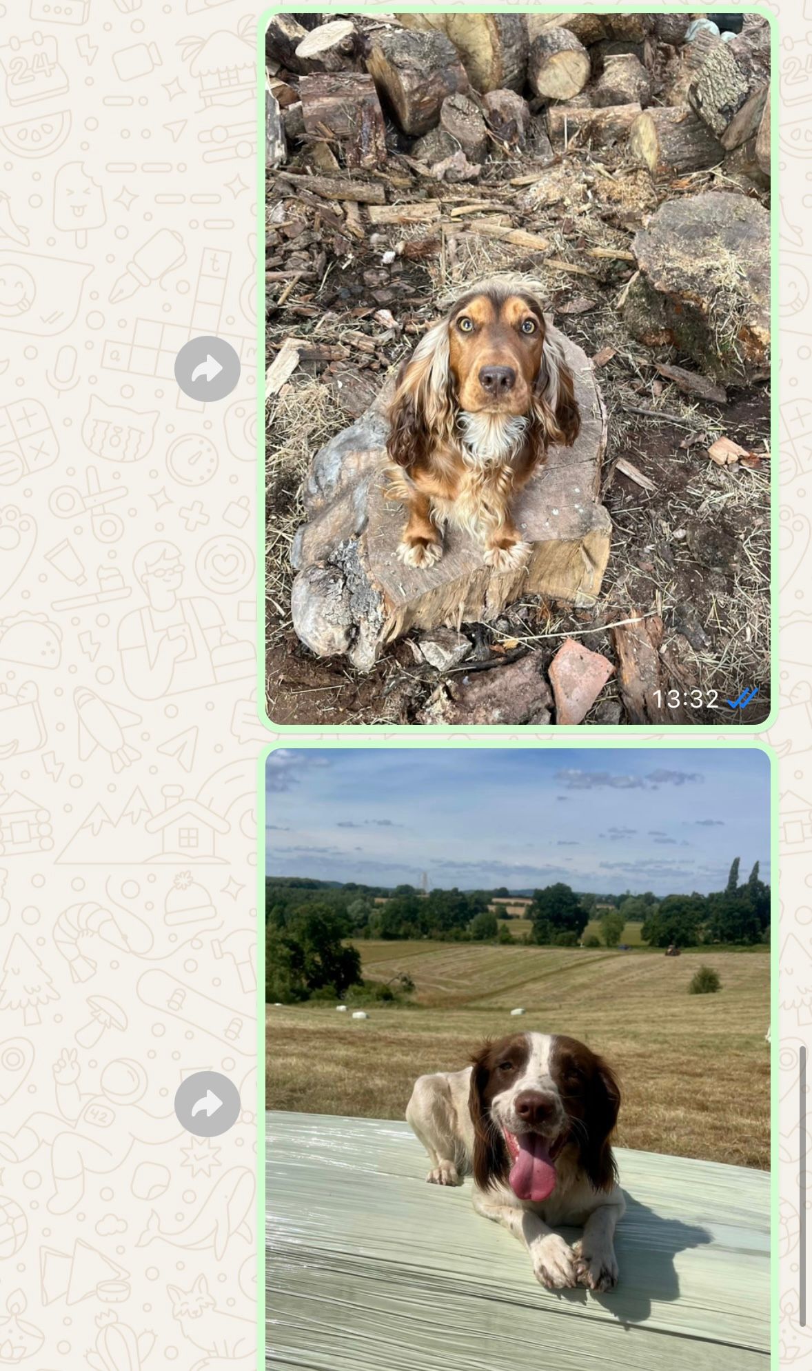 Flo and willow  - Boreley Lane, Droitwich