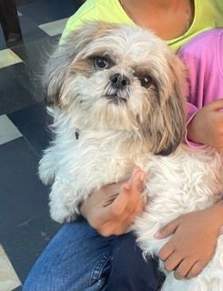 Kiara - Birla Junction, Visakhapatnam