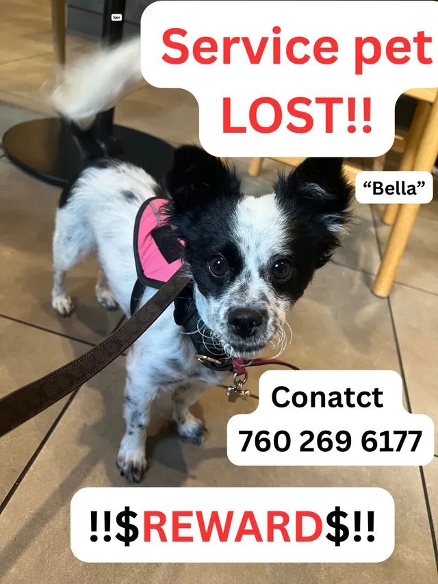 Bella - Atlantic Ave & Carlin Ave, Lynwood