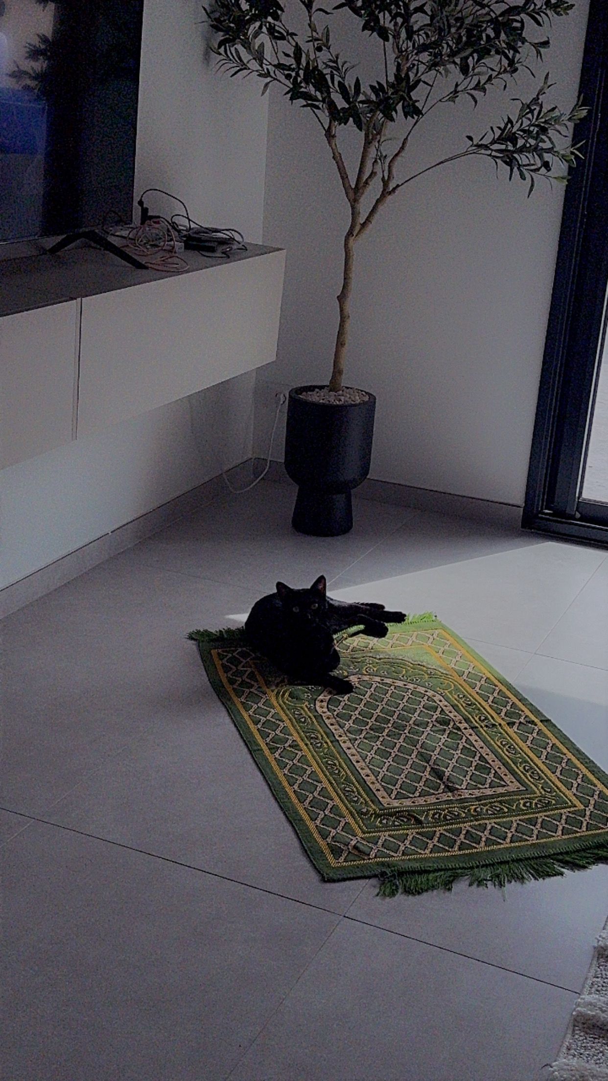 Alpha  - 23 Rue Lucie Aubrac, Thuir