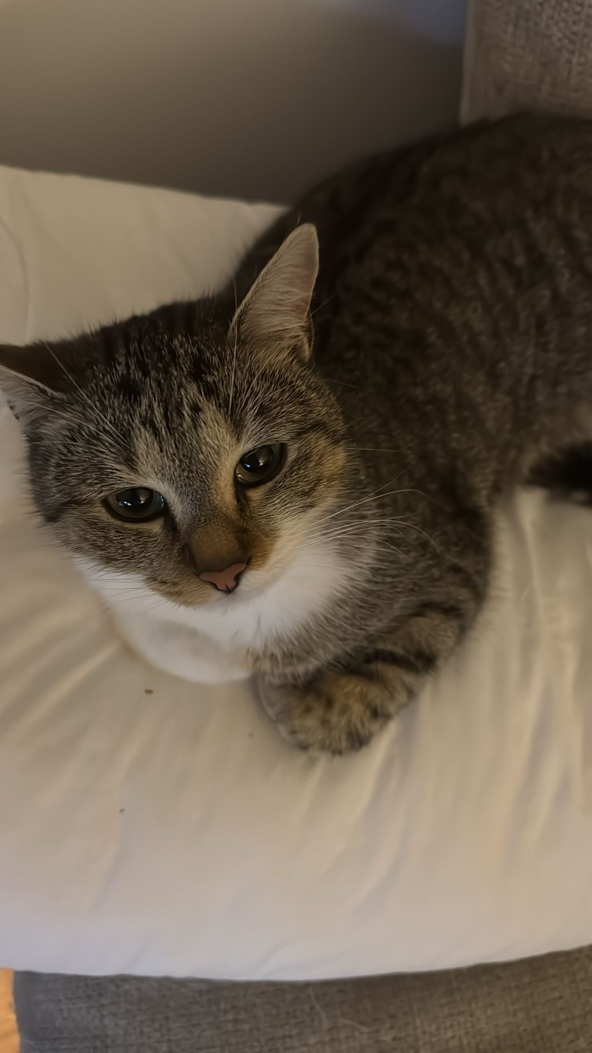 Lili - Suchardstraße, Bludenz