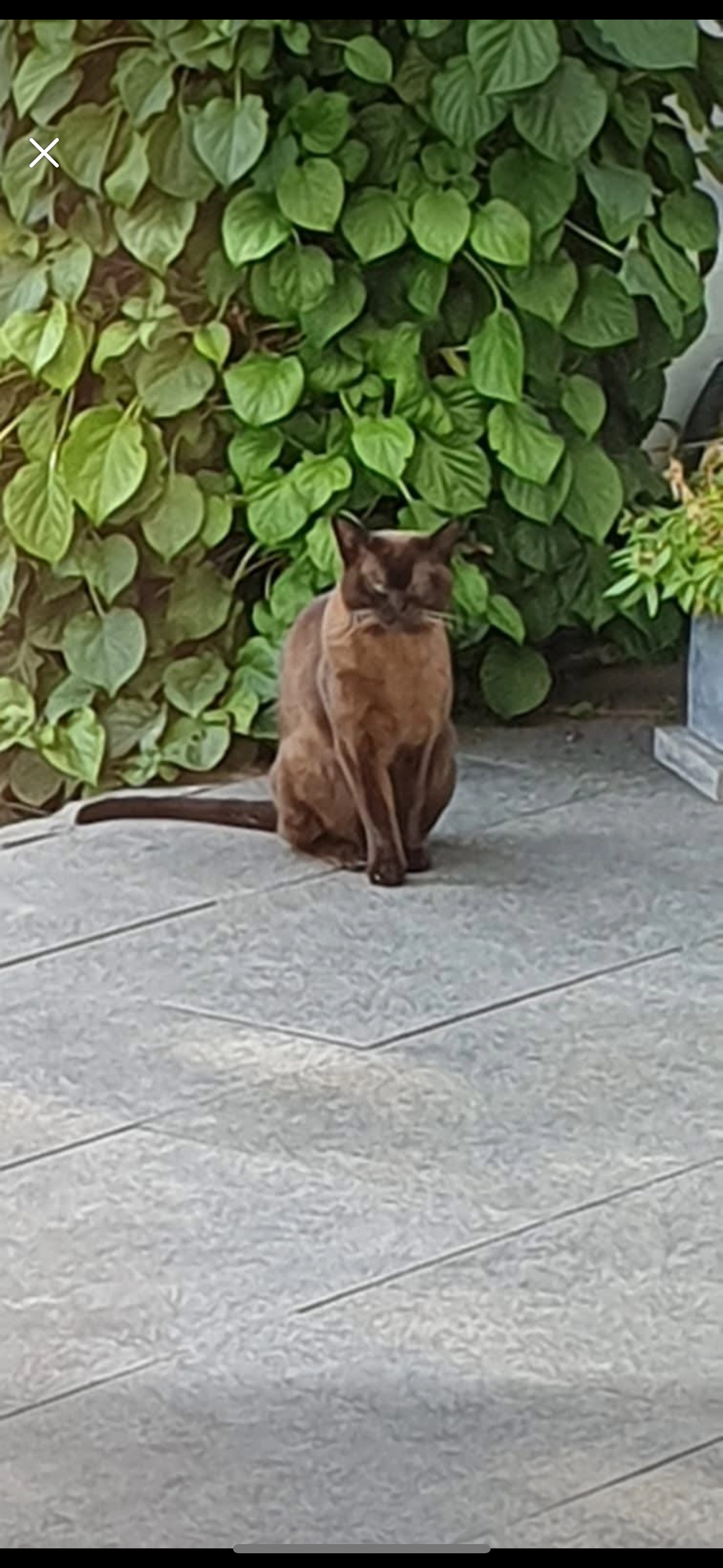 Luna - Martin-Luther-Straße, Olpe