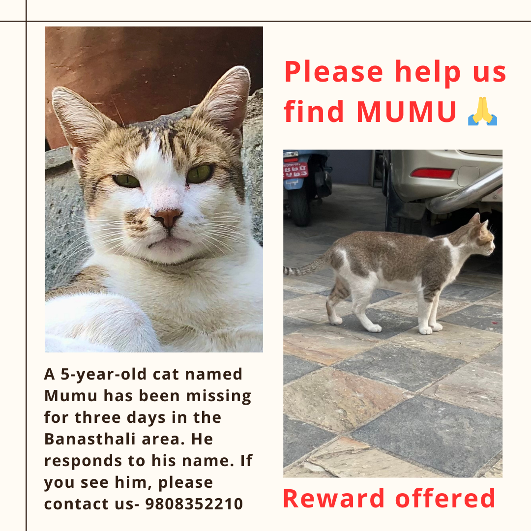 Mumu - Banasthali, Kathmandu