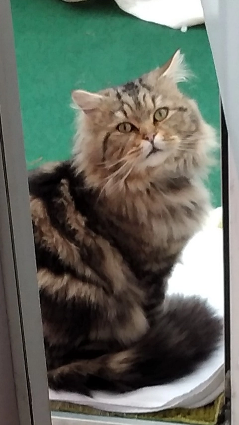 Cäsar - Balthasarstraße, Ramstein-Miesenbach