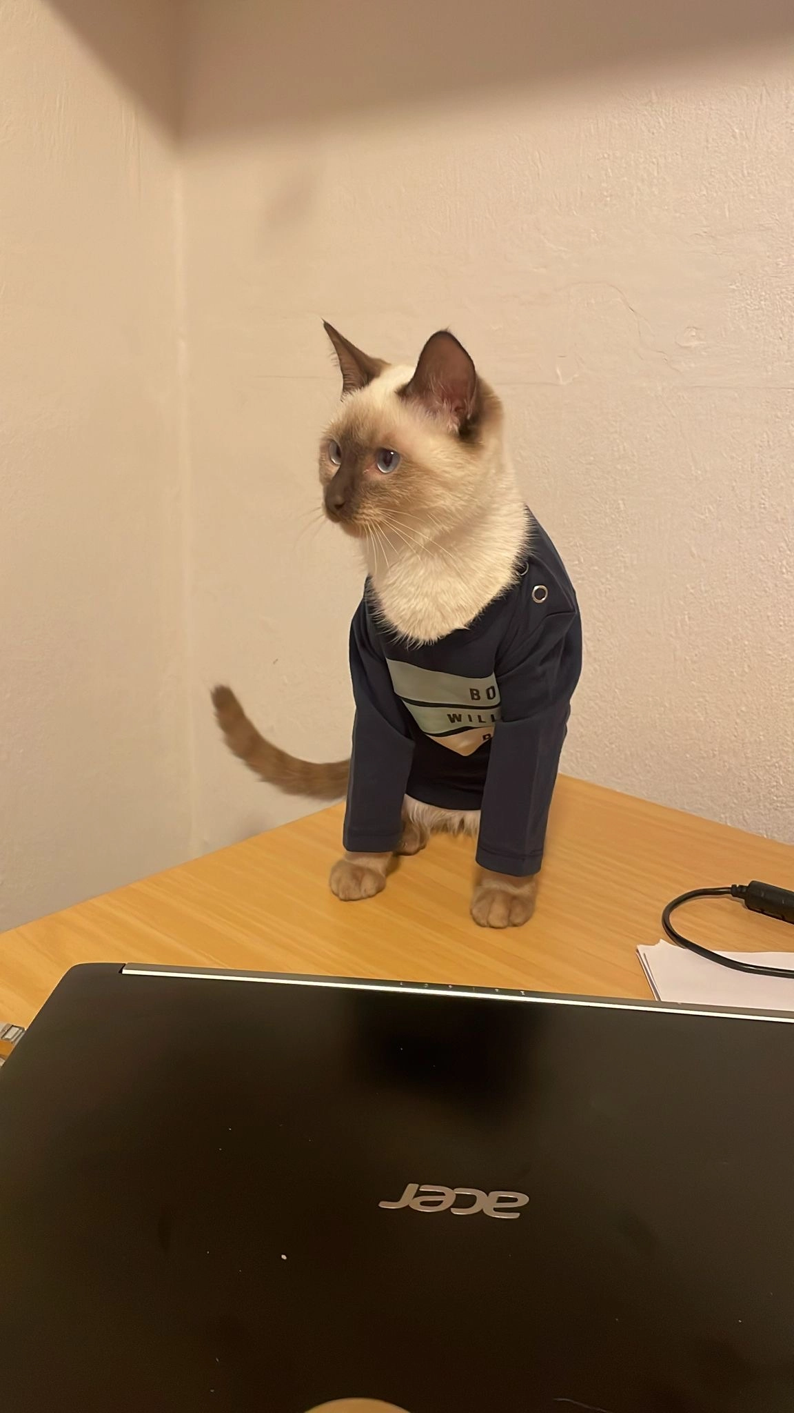 Loesie - Esdoornstraat, Winterswijk