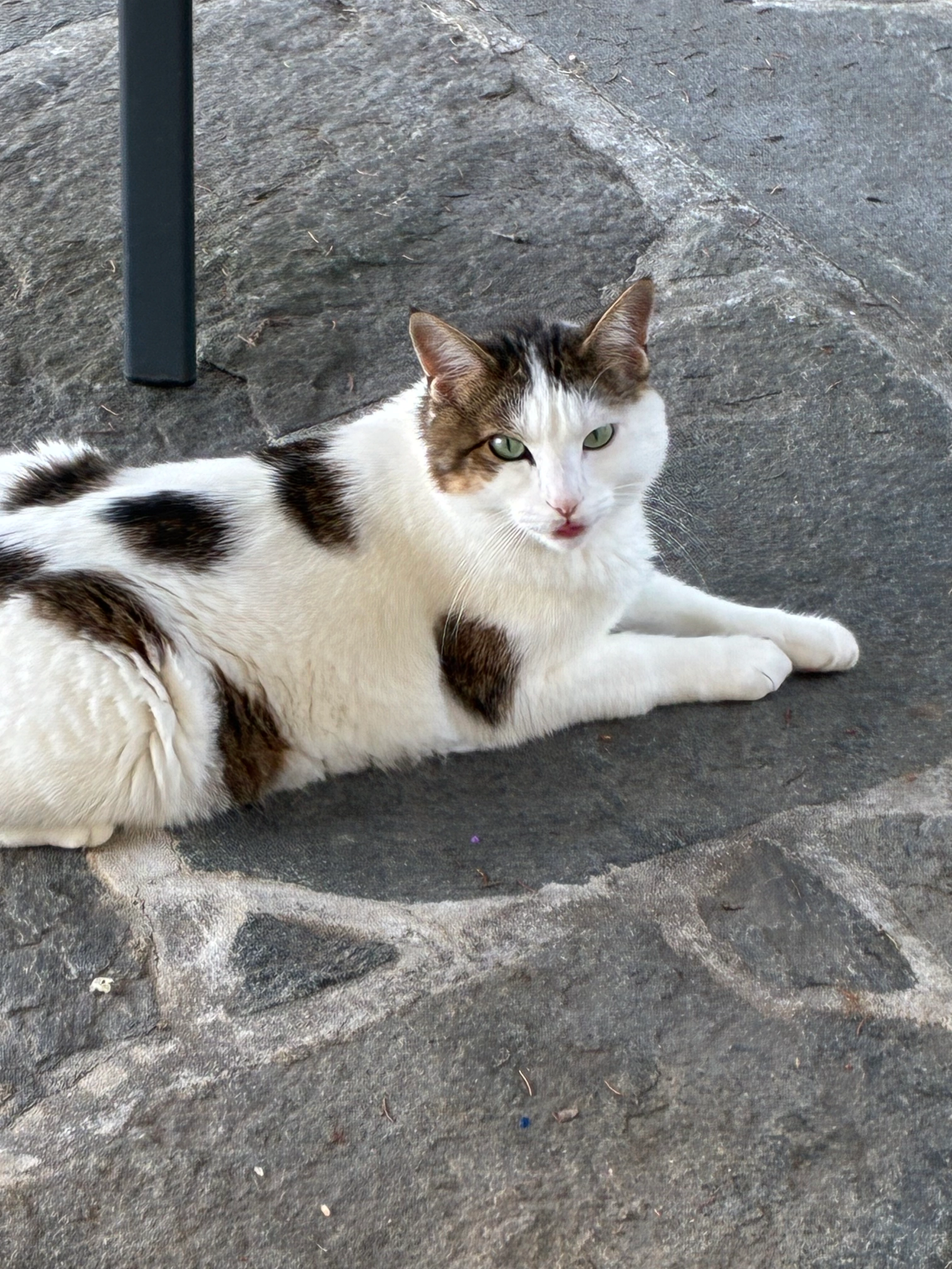 Kaipi  - Route d'Echandens 26, Lonay