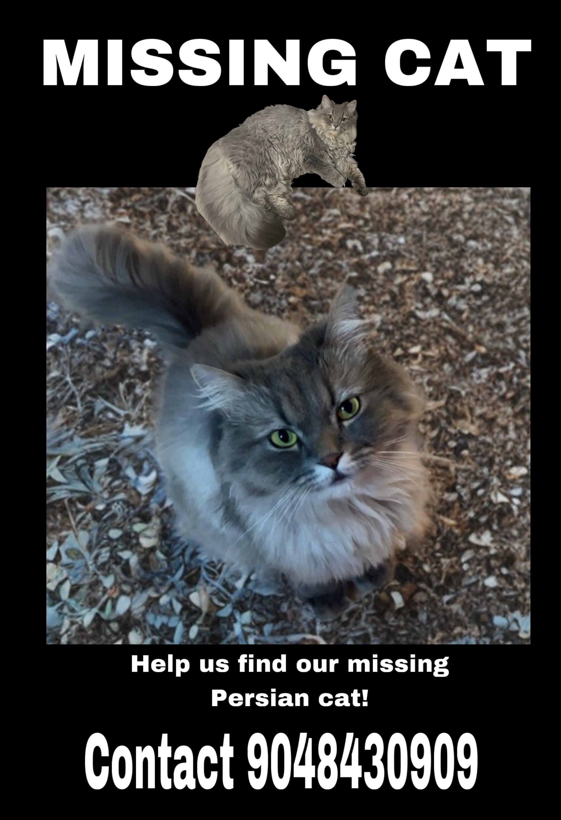 Max - Pavoor Road, Ernakulam