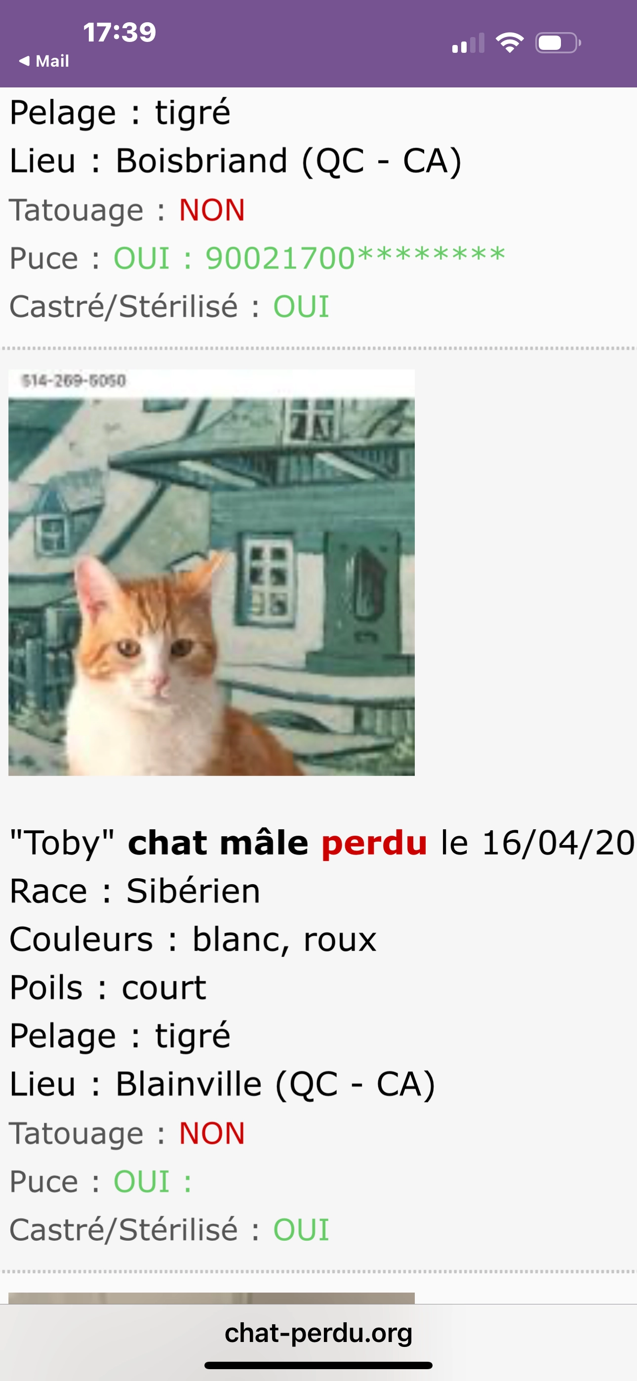 Roux sibérien à Blainville   - 48 rue des prêles , Blainville 