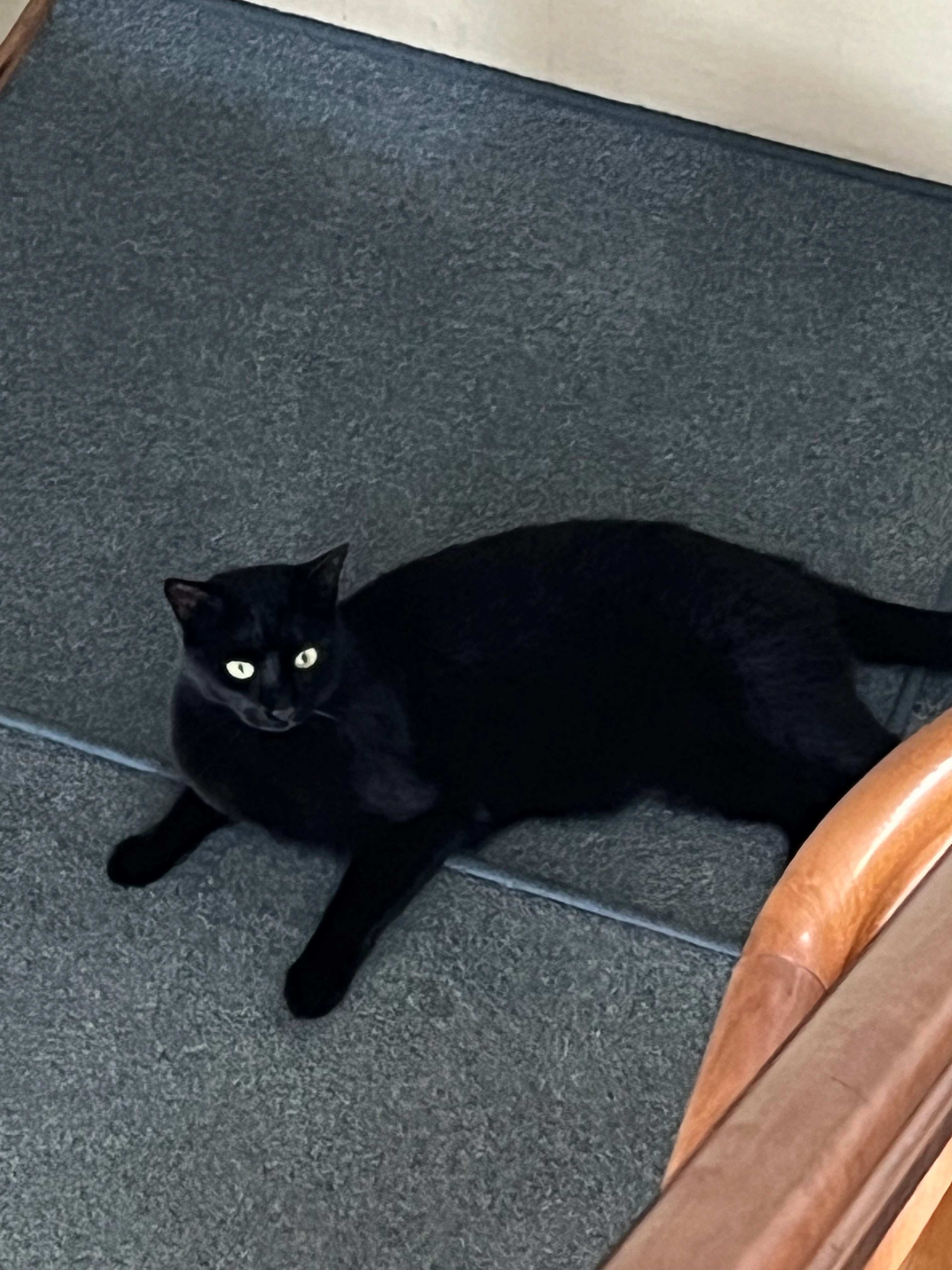 Sämi - Abendruh 1, Gisikon