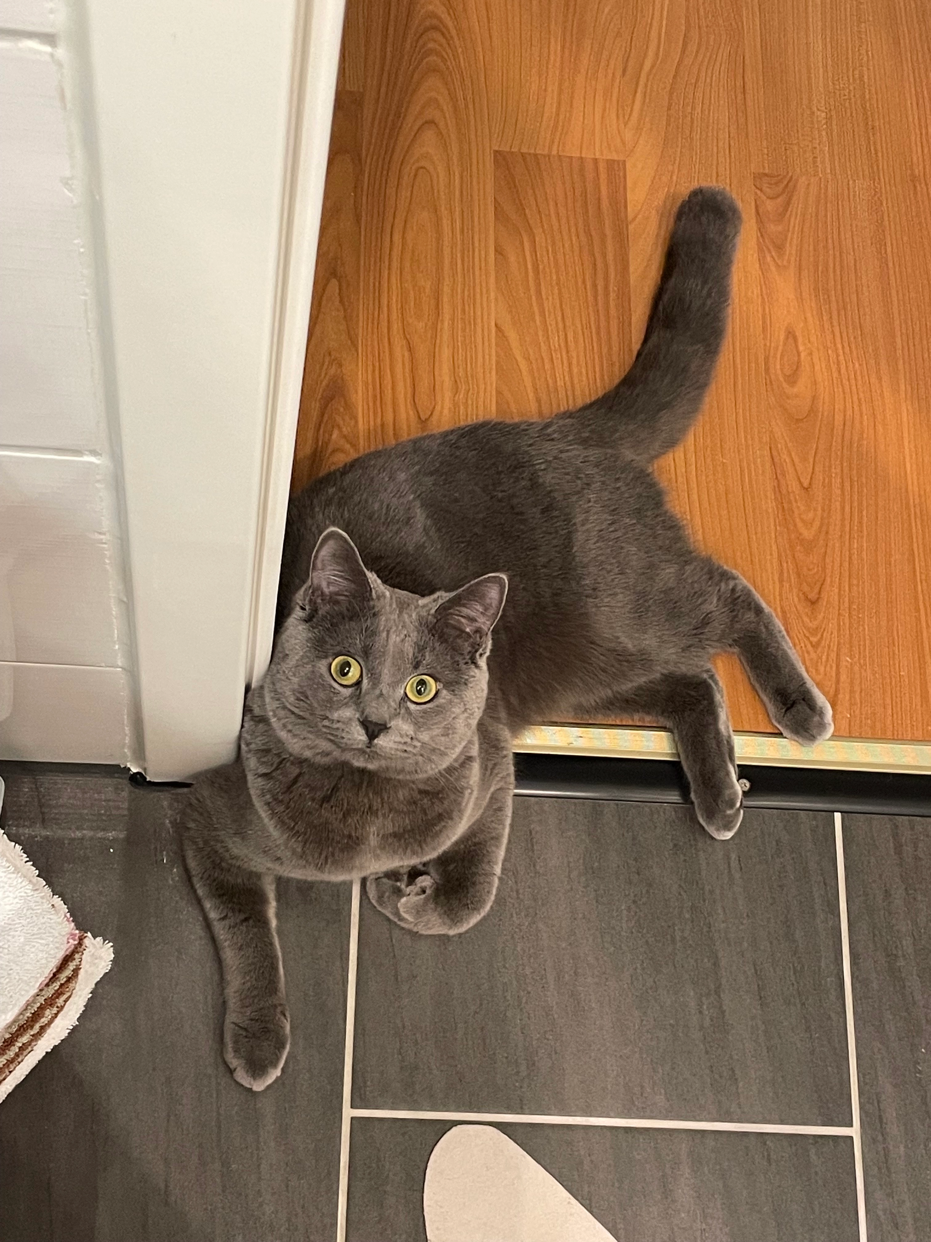 Mursik - Steinenberger Straße, Bad Waldsee