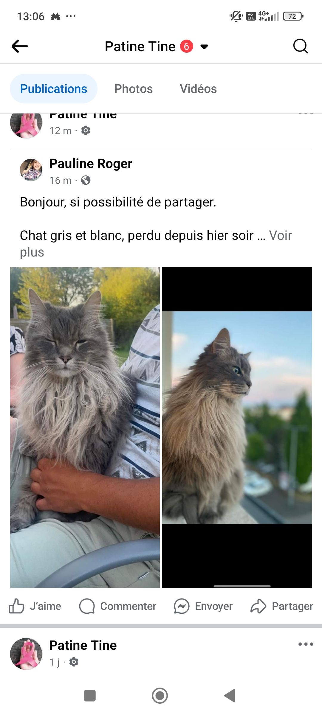 Elsie  - 24 Rue Marie-Angèle Duval, Lécousse