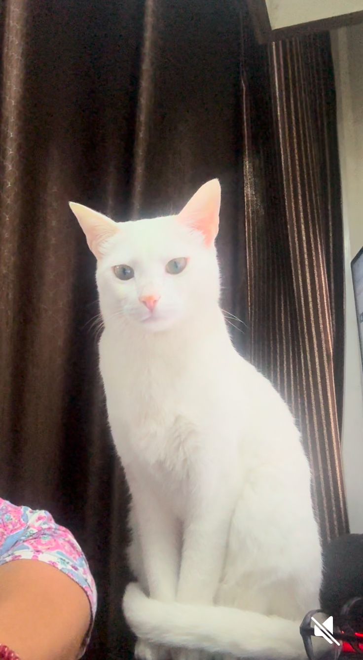 Kiki - Kristal Jasper Road, Bengaluru