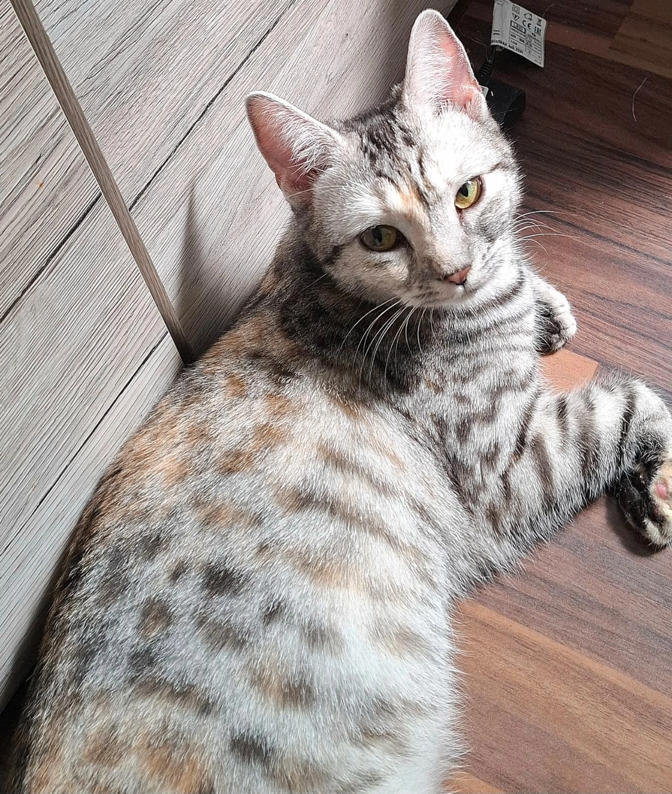 Mimi - Landskronastraße, Bremen