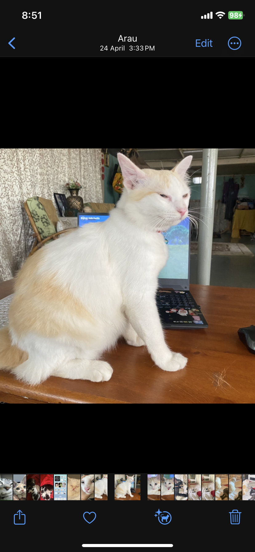 Oscar - Jalan Besar Arau, Arau